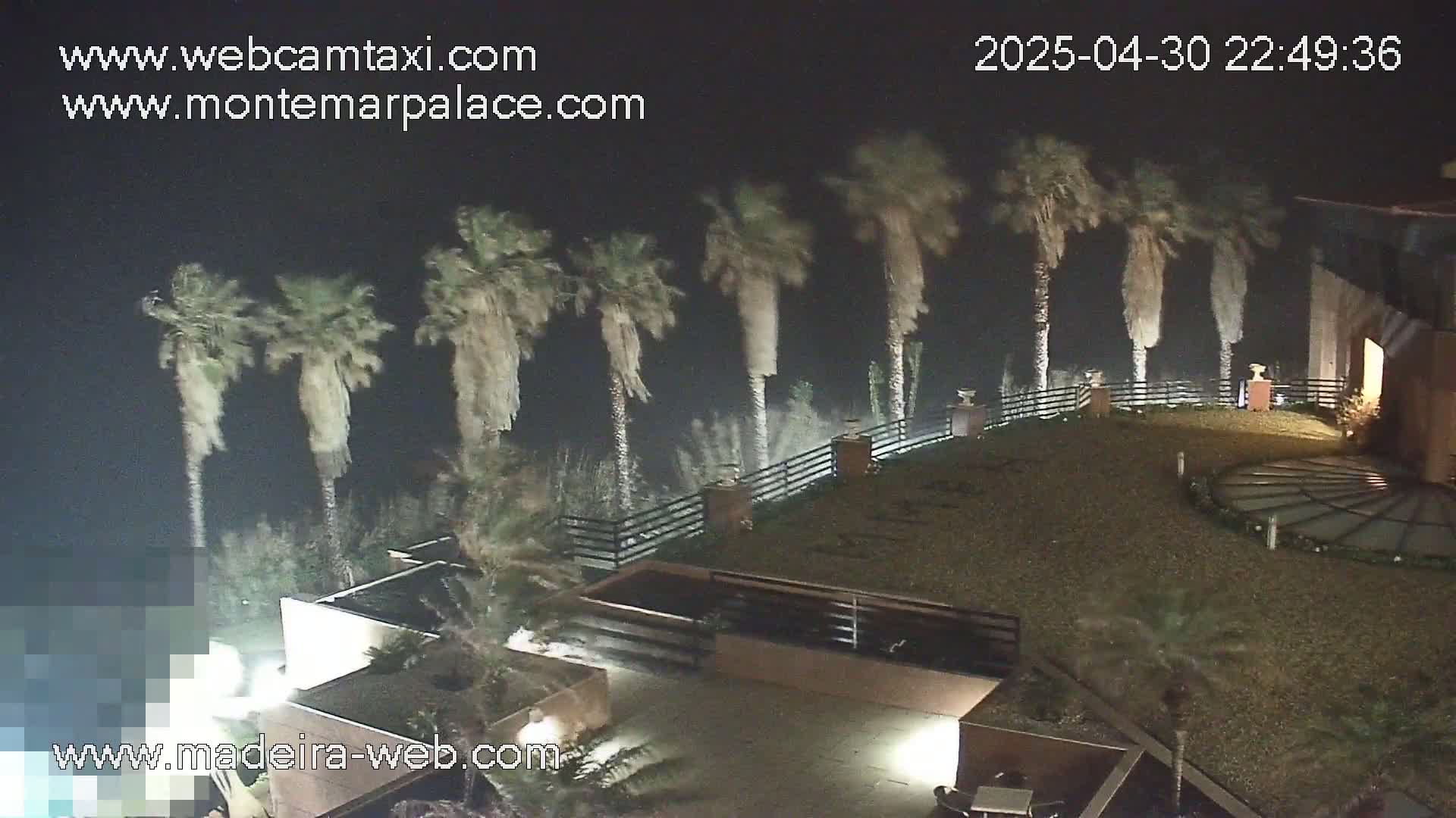 A nighttime view of a property with palm trees bending in the wind, overlooking a landscaped area with a building in the background.