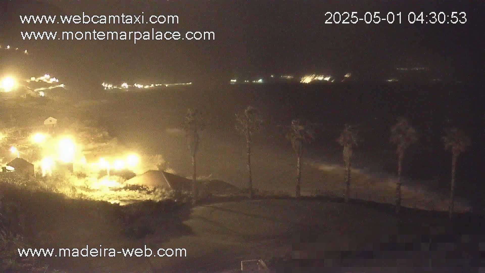 A nighttime coastal scene shows a dark ocean with waves crashing near palm trees, illuminated buildings, and lights on a hillside.