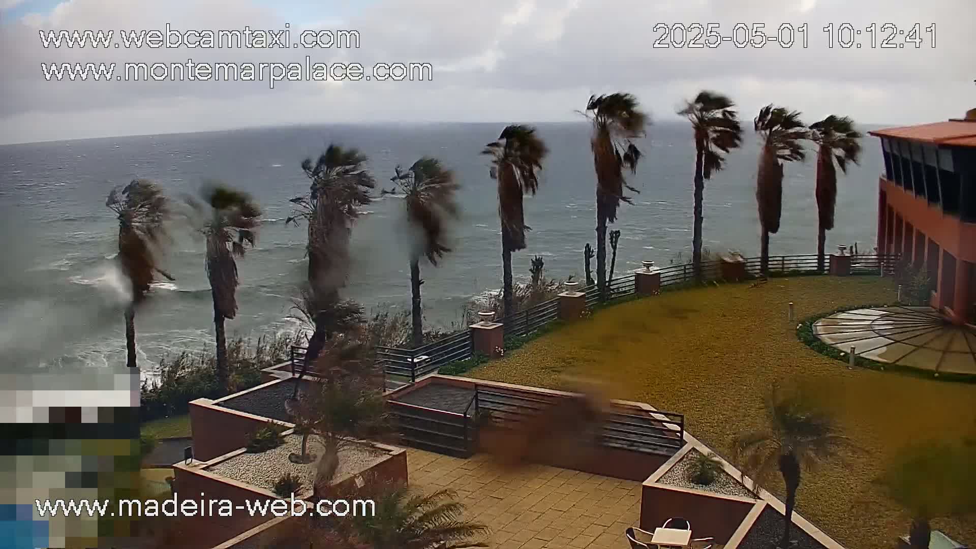 Palm trees bend dramatically in a strong wind overlooking a turbulent ocean from a patio area of a building.