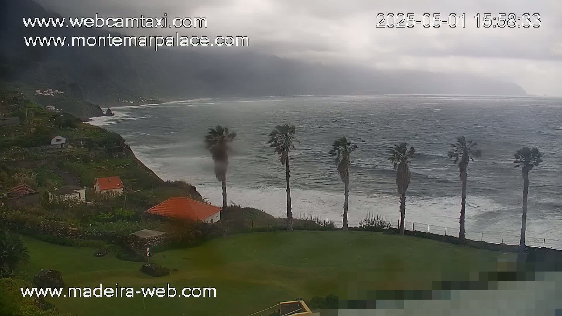 A coastal scene shows a rocky shoreline with small houses, palm trees bending in the wind, and a cloudy, gray sky above a choppy ocean.