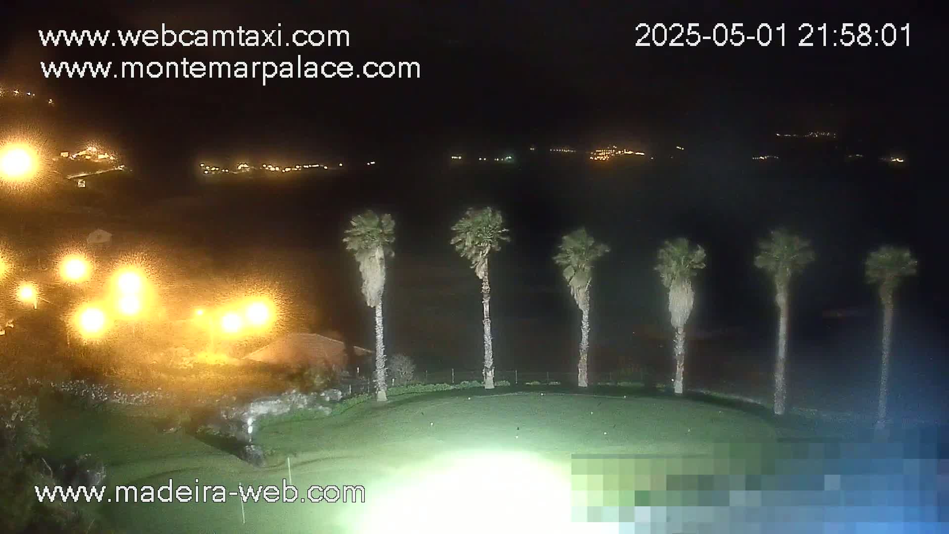 A nighttime view of a grassy area with five palm trees, brightly lit buildings in the background, and distant city lights under a clear sky.