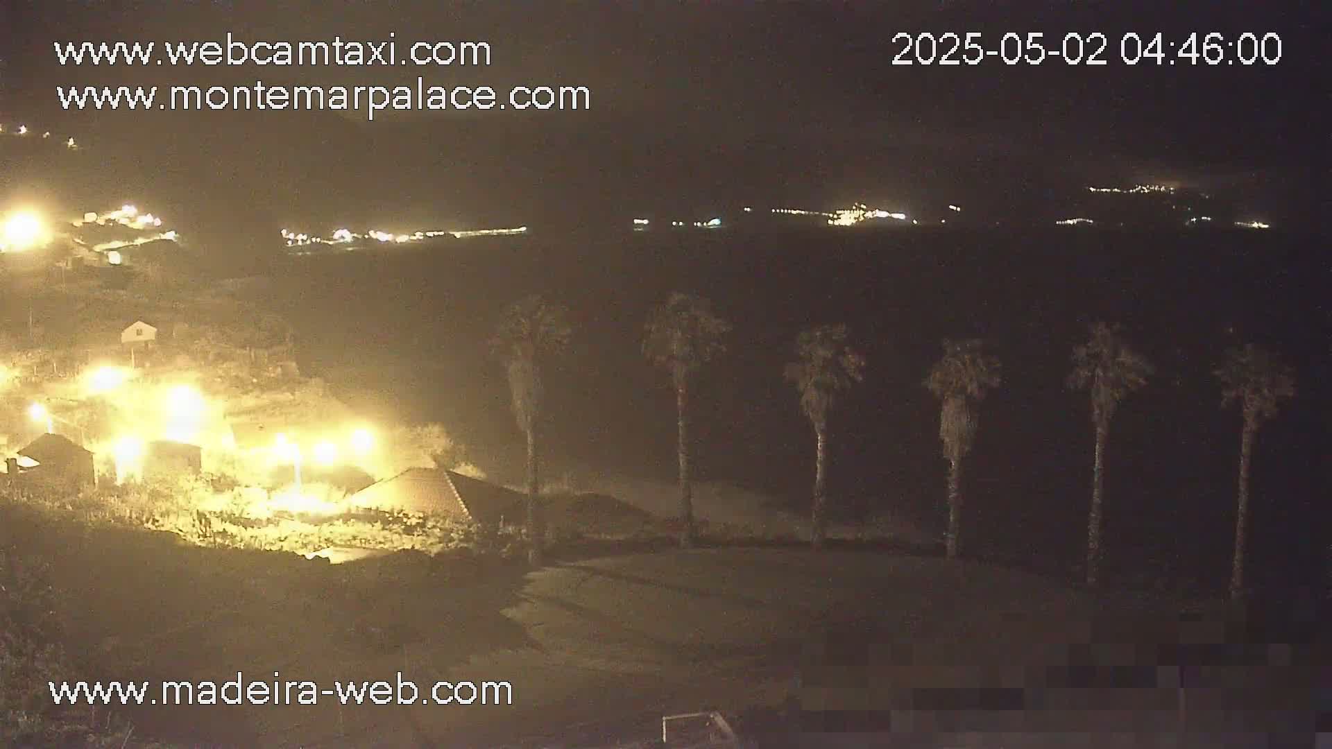 A nighttime view of a coastal area shows several palm trees near some buildings lit by artificial lights, with a dark ocean and distant lights visible in the background.