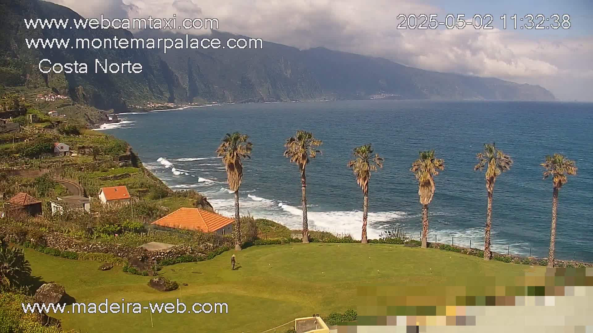 A partly cloudy day reveals a coastal scene with a grassy area, several palm trees, small buildings, and a rocky coastline meeting a blue ocean with waves.