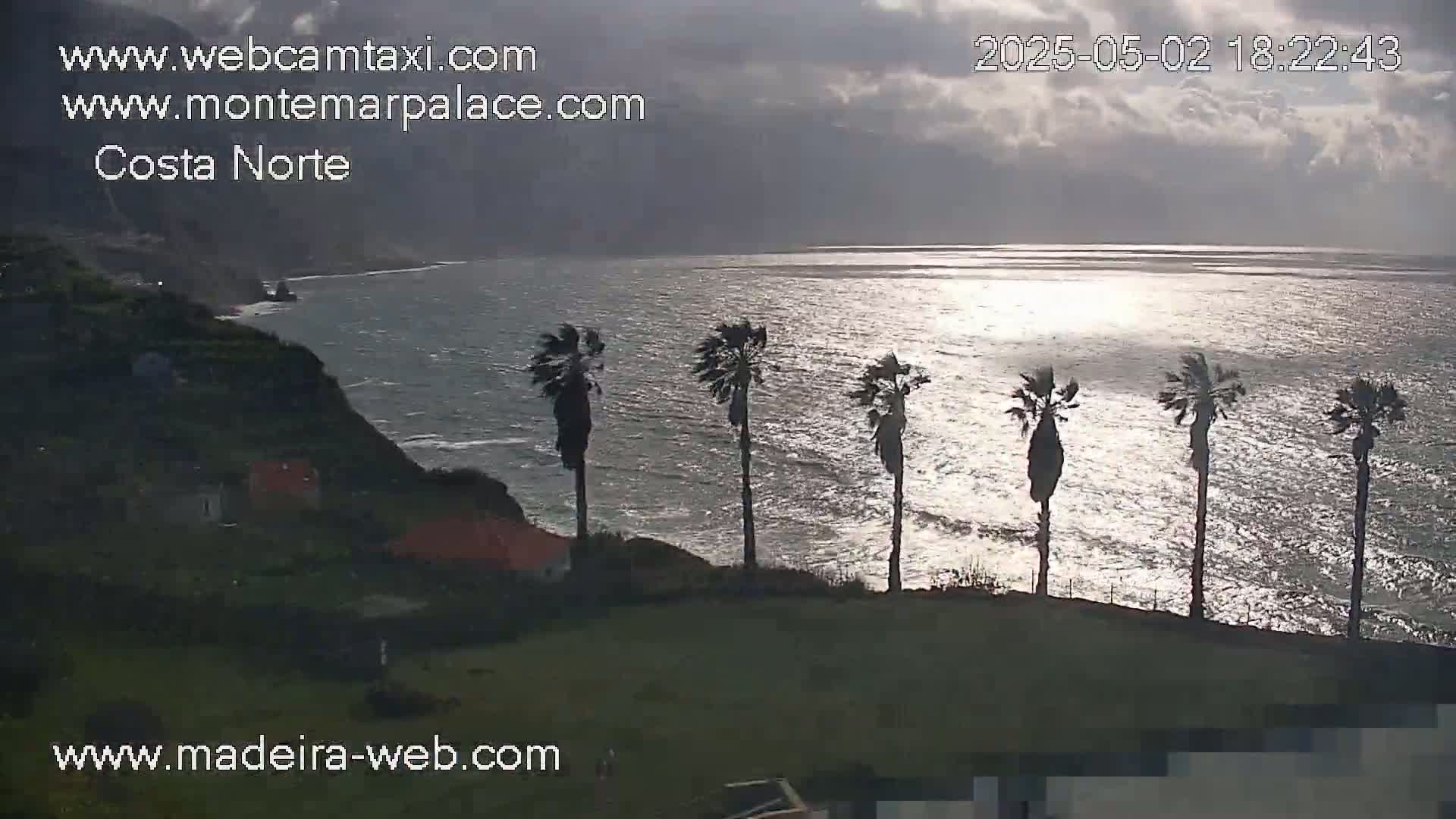 A partly cloudy sunset over a wavy ocean seen from a grassy hillside with several palm trees silhouetted against the water.