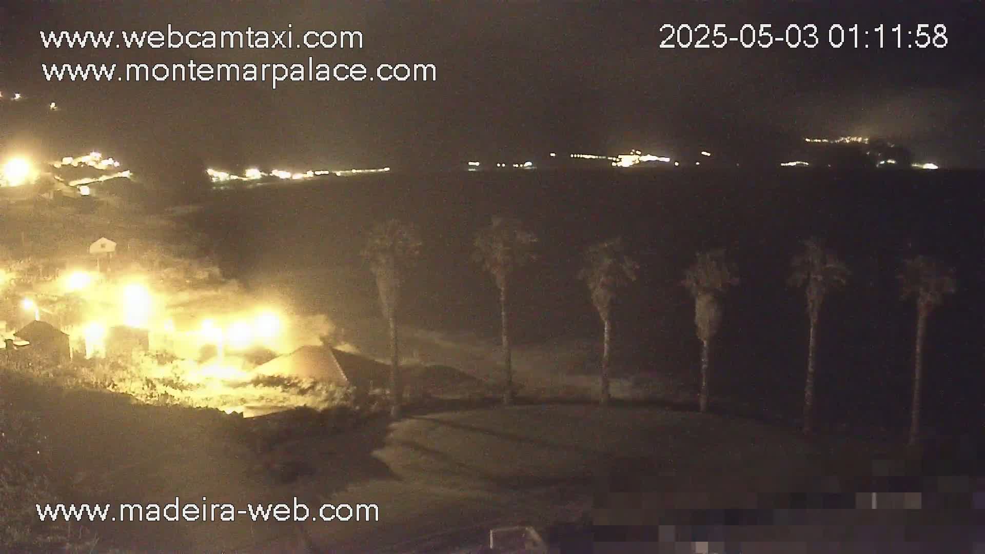 A nighttime view of a coastal area shows palm trees in the foreground, lights illuminating buildings in the midground, and a dark, distant shoreline under a clear sky.