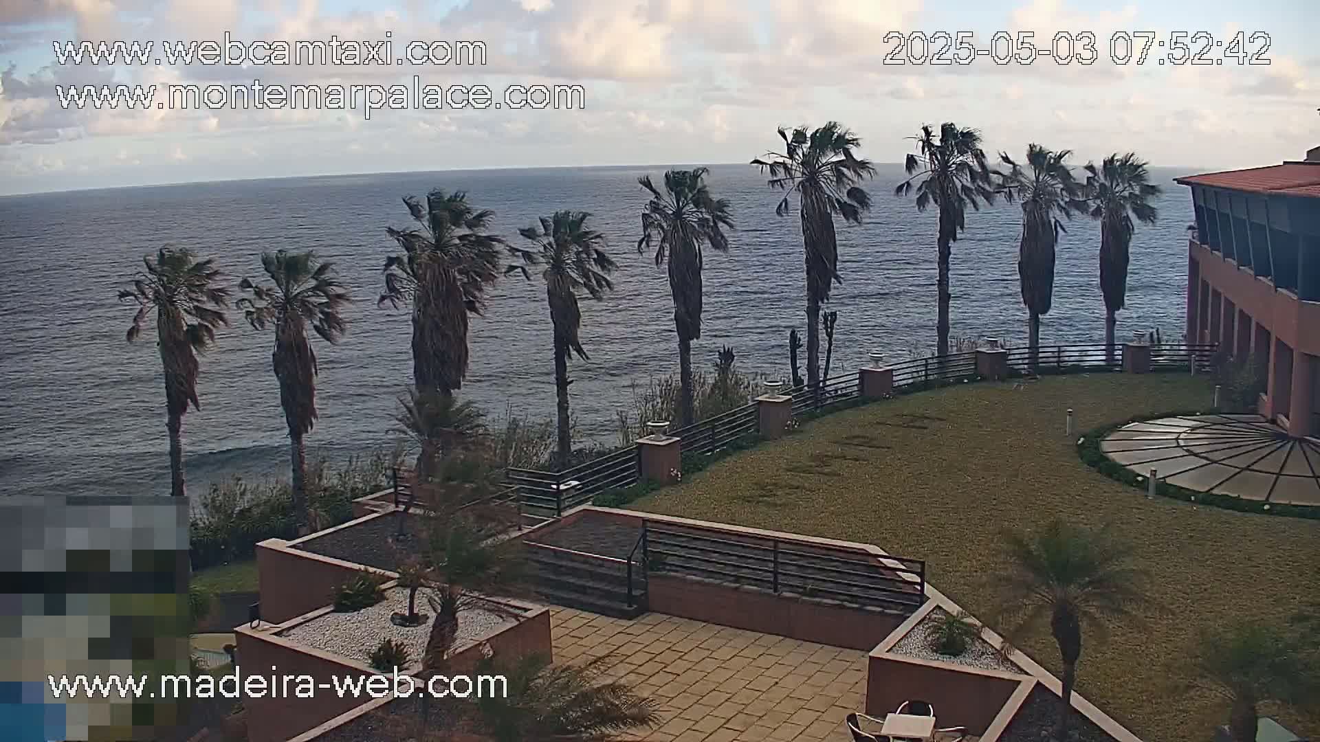 A resort overlooking a calm ocean, with palm trees lining a grassy courtyard under a partly cloudy sky.