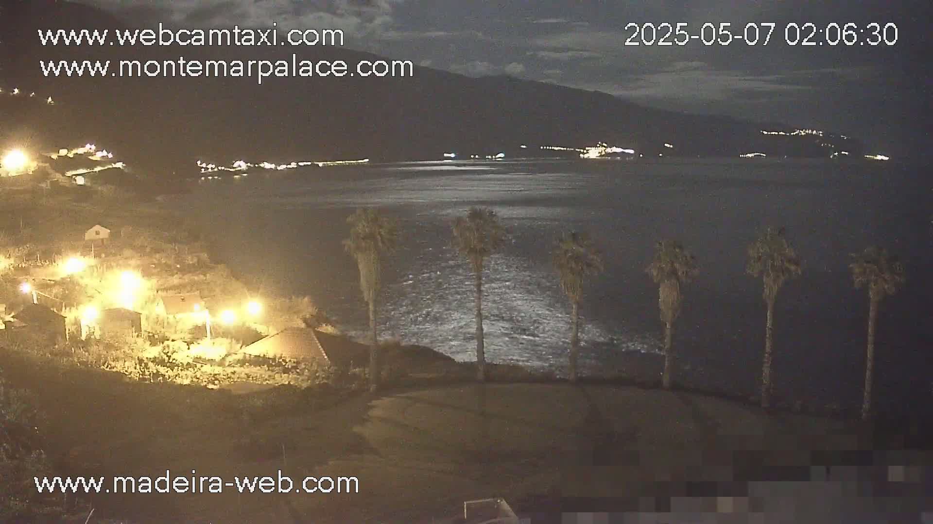 A nighttime coastal scene shows a dark body of water with slight wave action under a mostly clear sky, palm trees, and illuminated buildings along the shore.