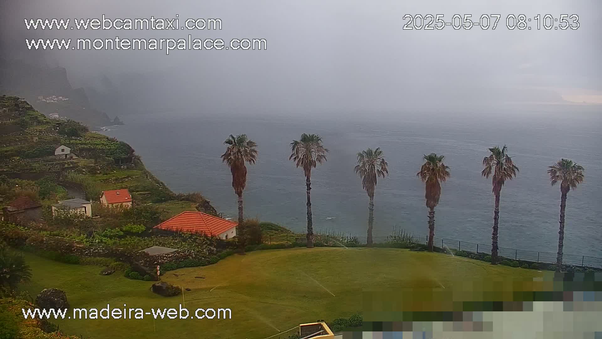 A misty ocean view from a cliffside, showing several palm trees, small houses, and terraced gardens.