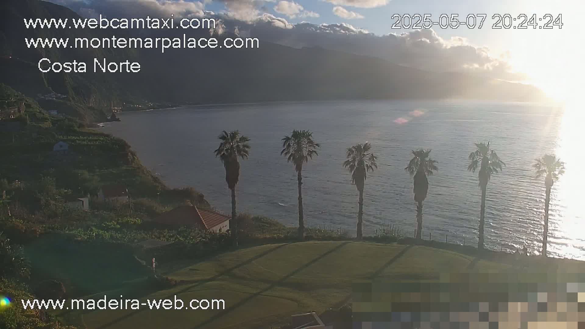 A coastal scene at sunset shows several palm trees on a grassy area overlooking a calm ocean and mountainous coastline.