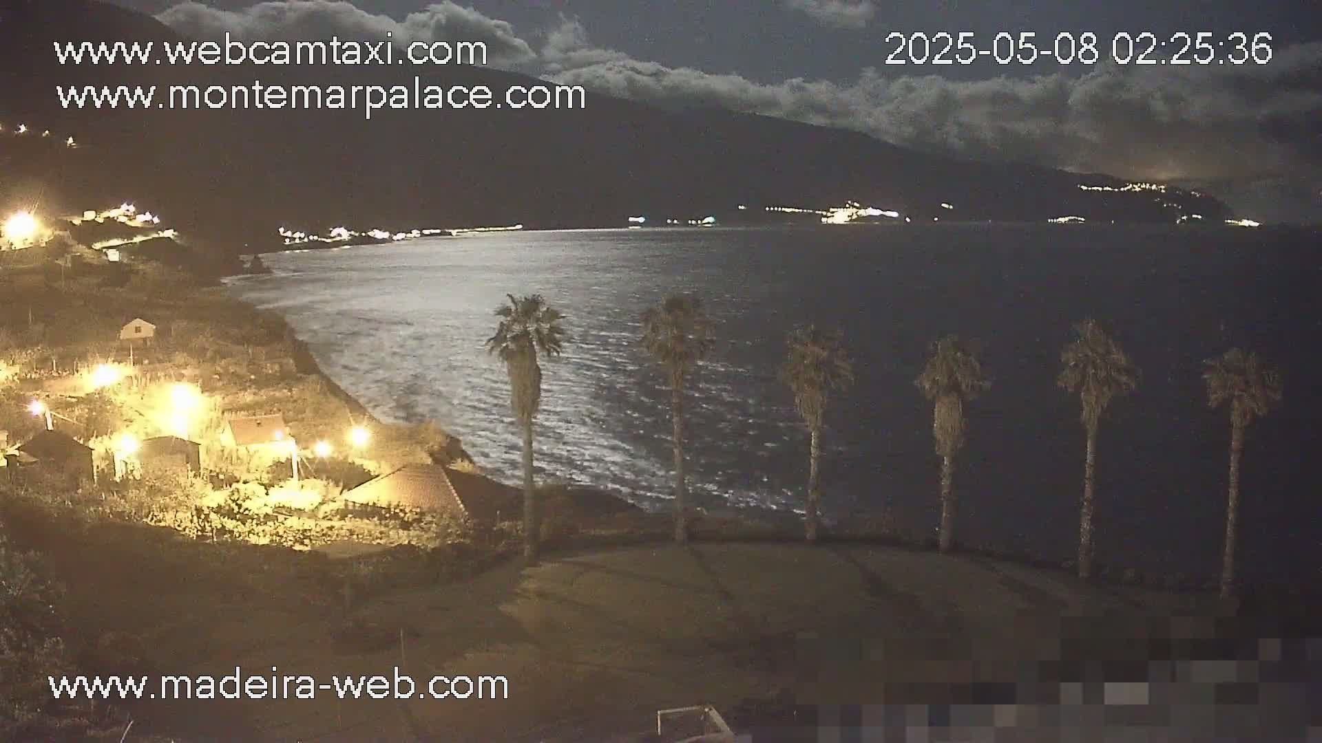 A nighttime coastal scene shows a dark body of water under a partly cloudy sky, with palm trees silhouetted against a dimly lit shoreline and buildings.