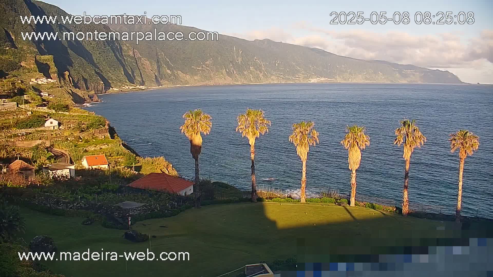 A coastal view at sunrise shows a calm ocean next to a cliffside with several houses and five palm trees in a row.