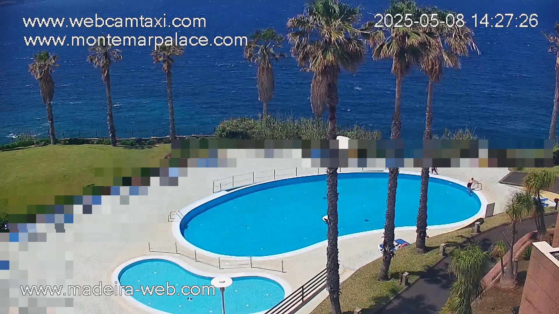 An outdoor kidney-shaped swimming pool with a smaller adjacent pool is surrounded by palm trees and overlooks a calm ocean on a sunny day.