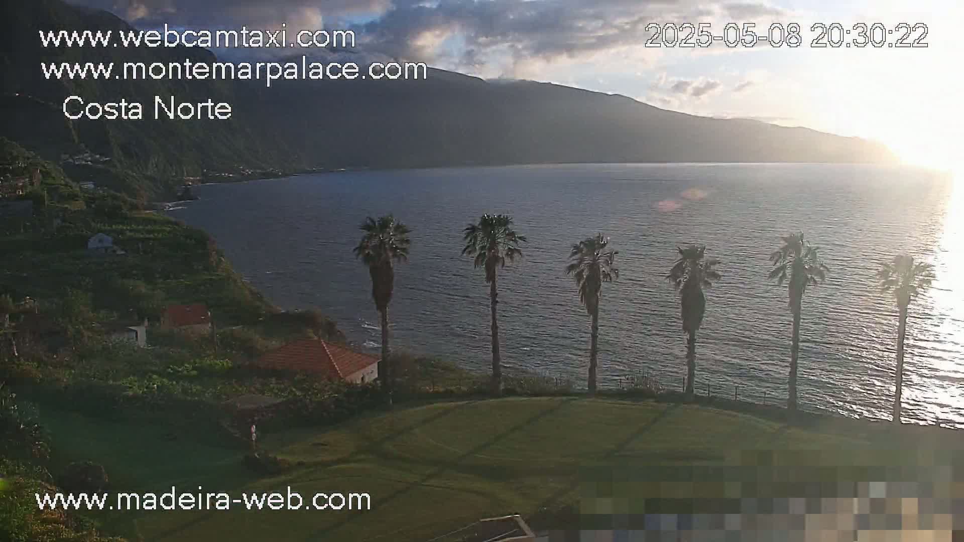 A tranquil coastal scene shows a calm ocean at sunset, with several palm trees silhouetted against a grassy area overlooking the water and a mountainous coastline.