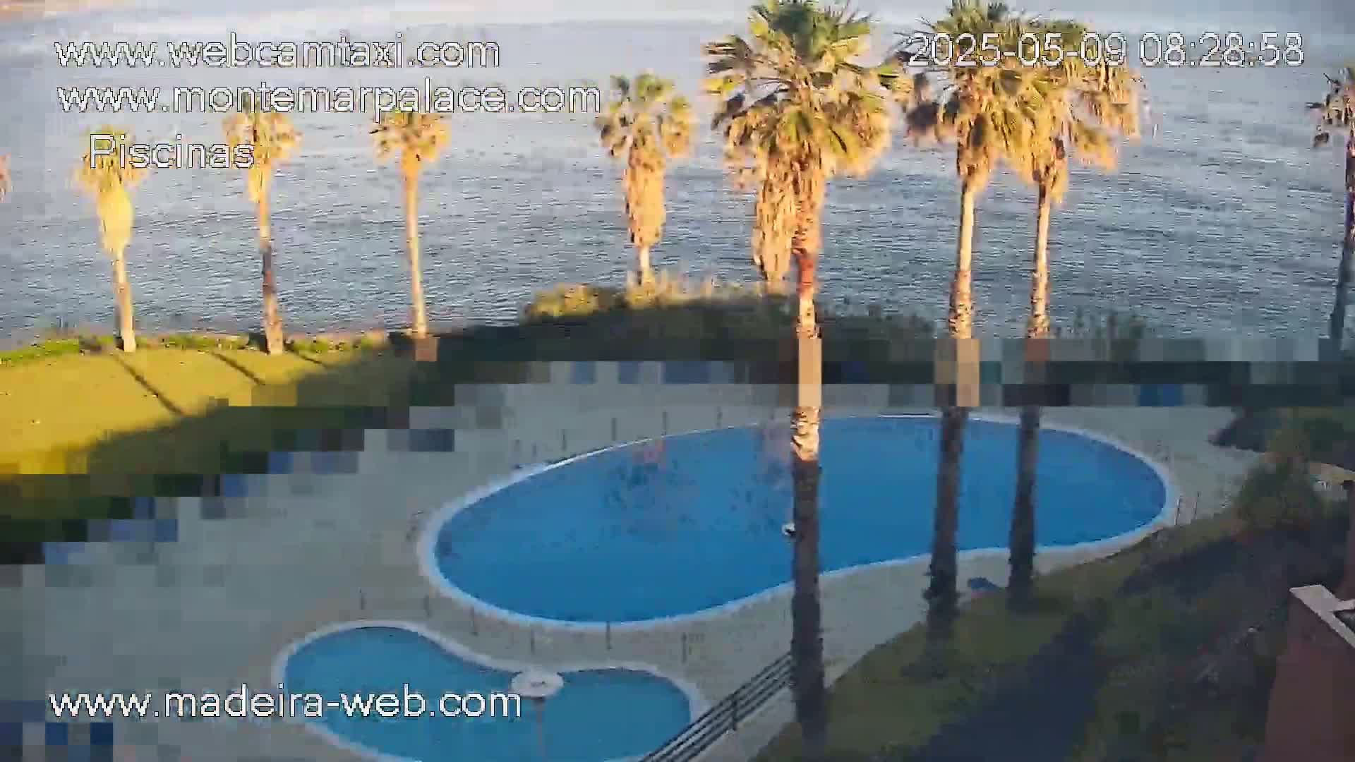 An aerial view shows a kidney-shaped swimming pool and a smaller adjacent pool surrounded by palm trees and overlooking a calm body of water under a clear sky.