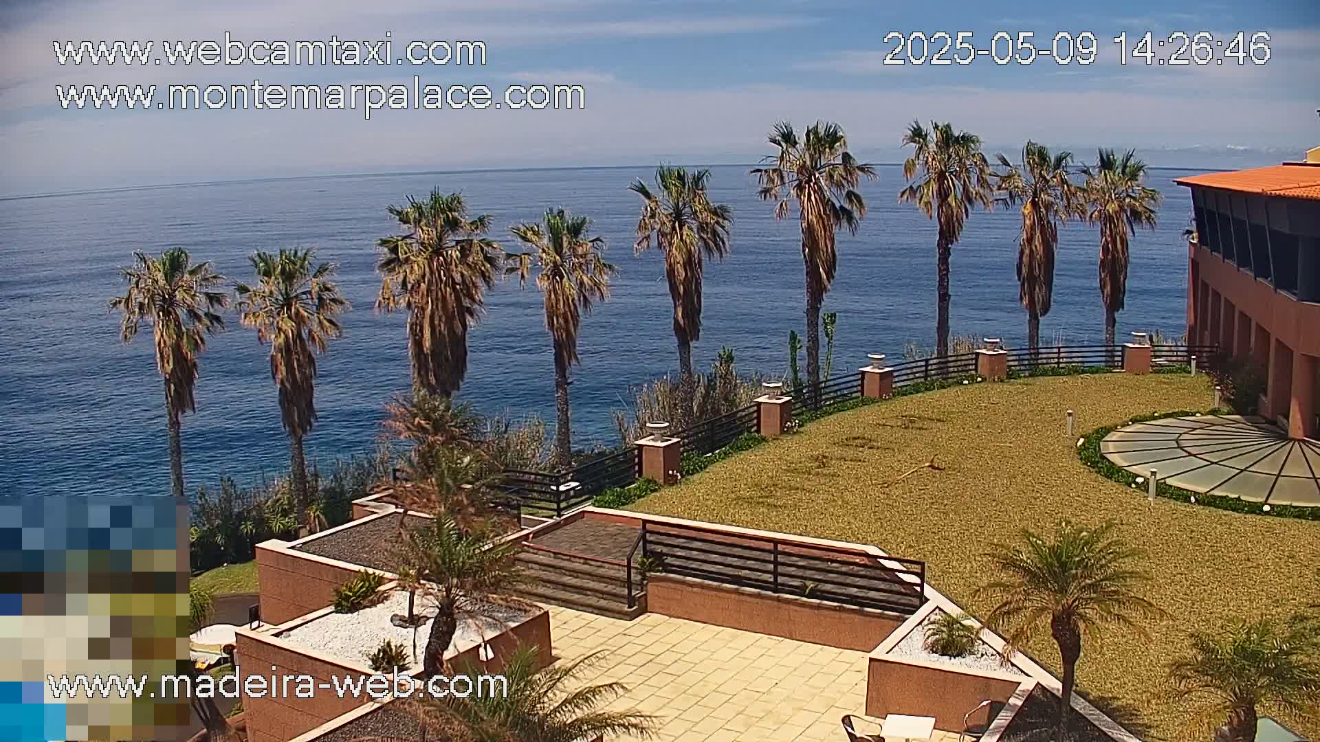 A sunny seaside resort with palm trees overlooks a calm ocean.