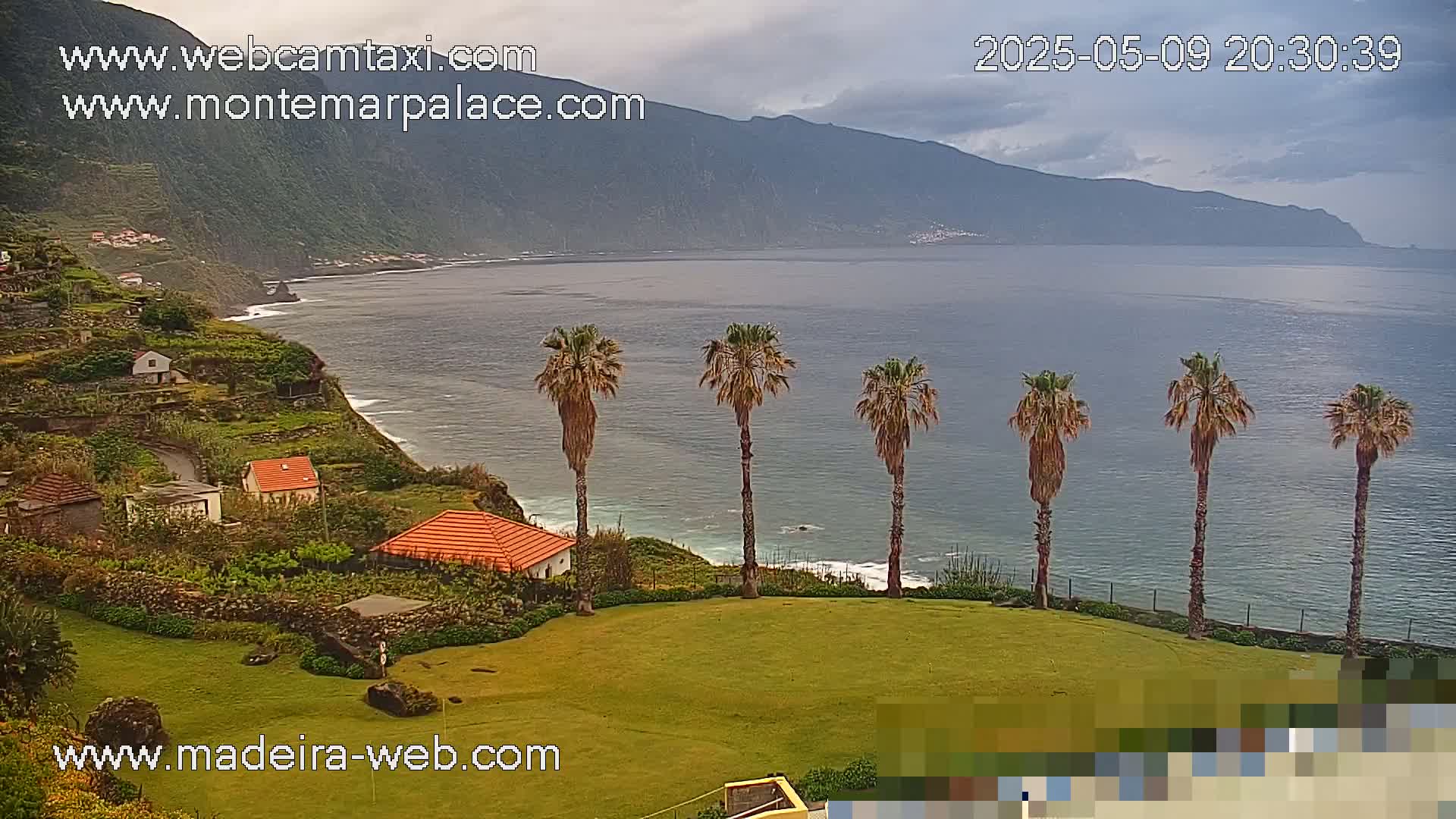 A coastal scene under cloudy skies shows several palm trees on a grassy area overlooking a calm ocean, with houses and terraced fields on a hillside in the background.