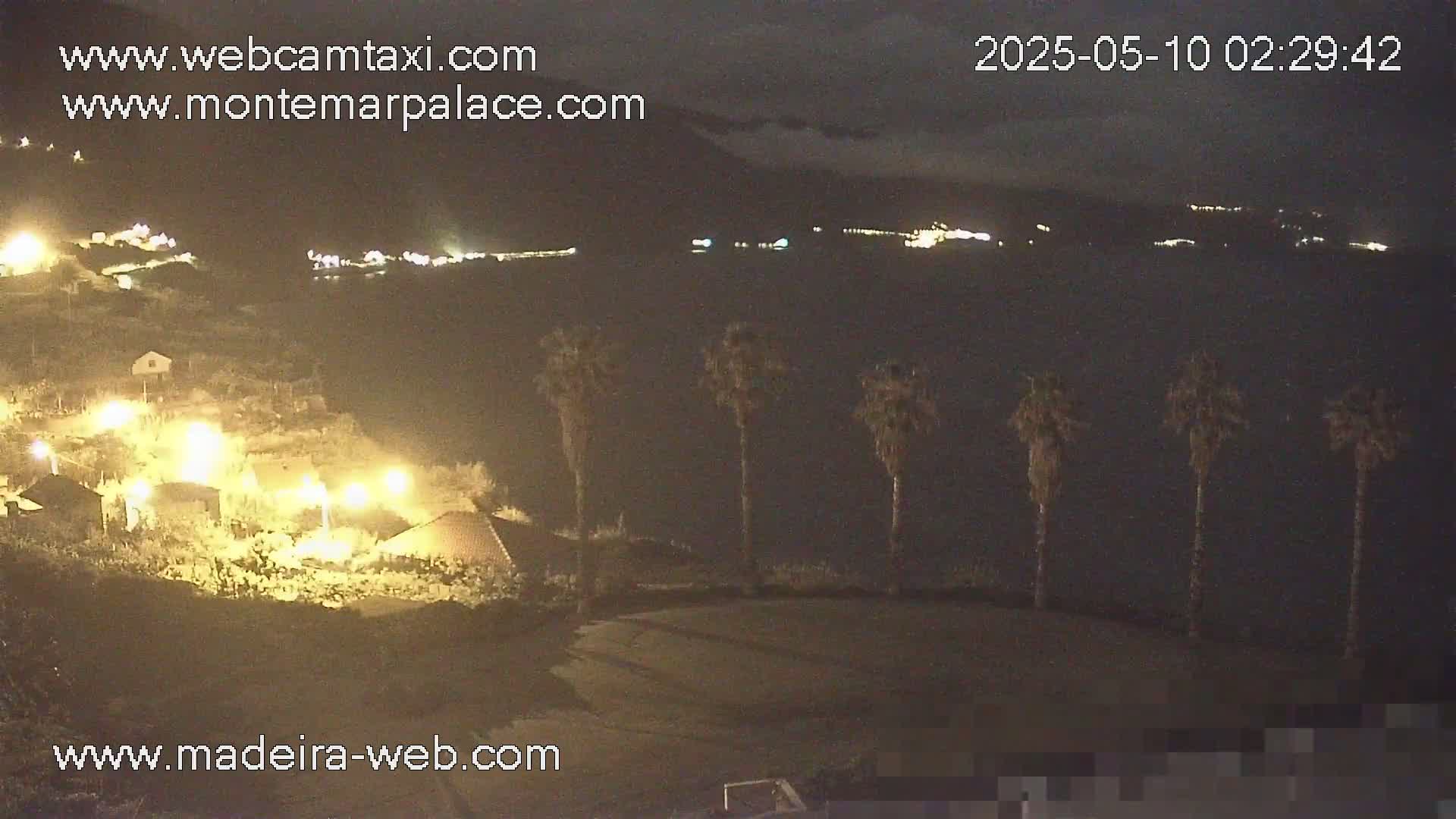 A nighttime view of a coastal village with palm trees in the foreground, under a mostly cloudy sky.
