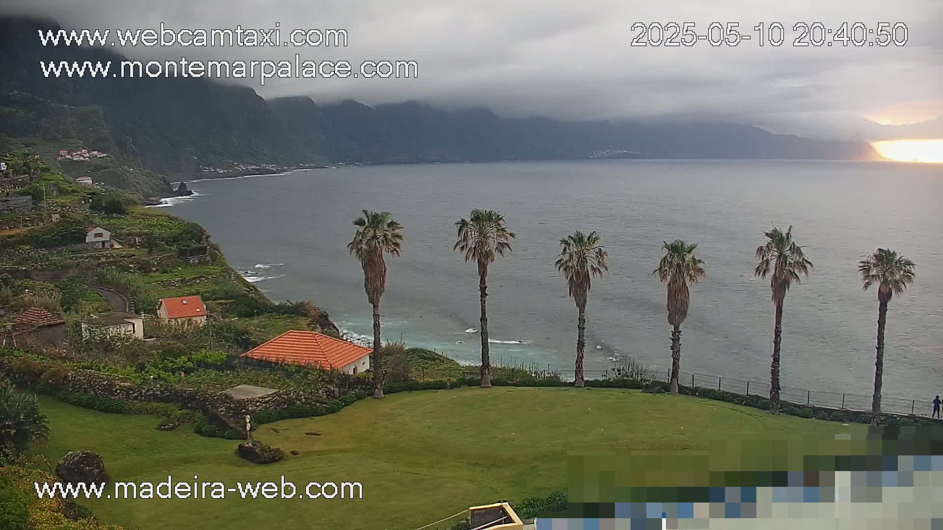 A coastal scene under a cloudy sky shows a calm ocean, several palm trees near a grassy area with small buildings, and terraced farmland leading down to the rocky shore.