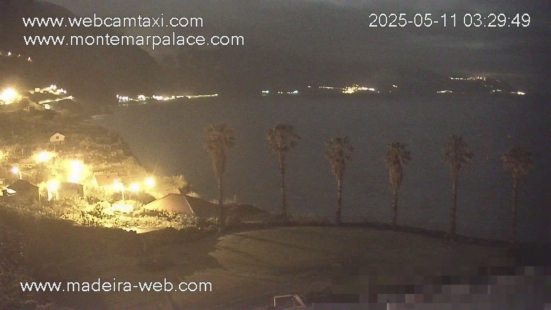 A nighttime coastal scene shows a dark body of water with distant lights, several illuminated houses on a hillside, and a row of palm trees in the foreground.