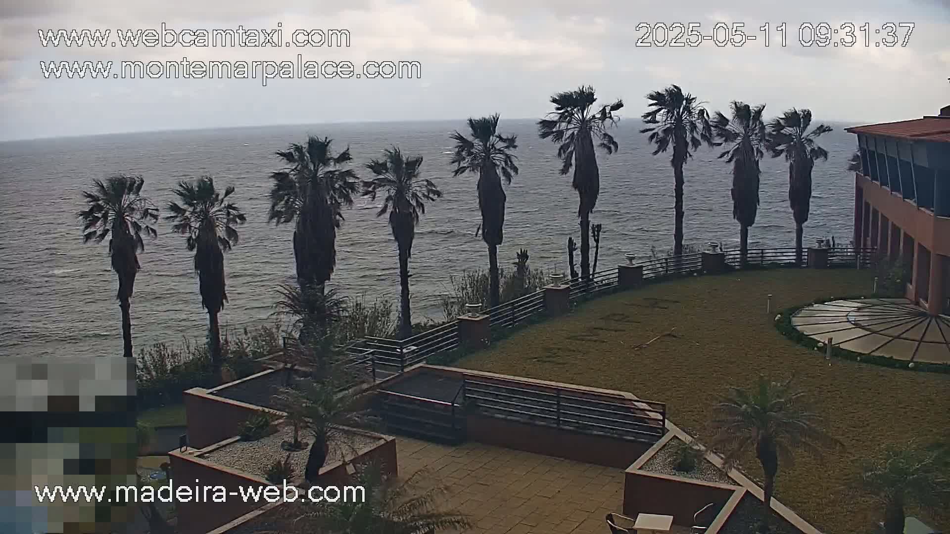 Overcast, windy weather overlooks a courtyard with palm trees and a building near a calm ocean.