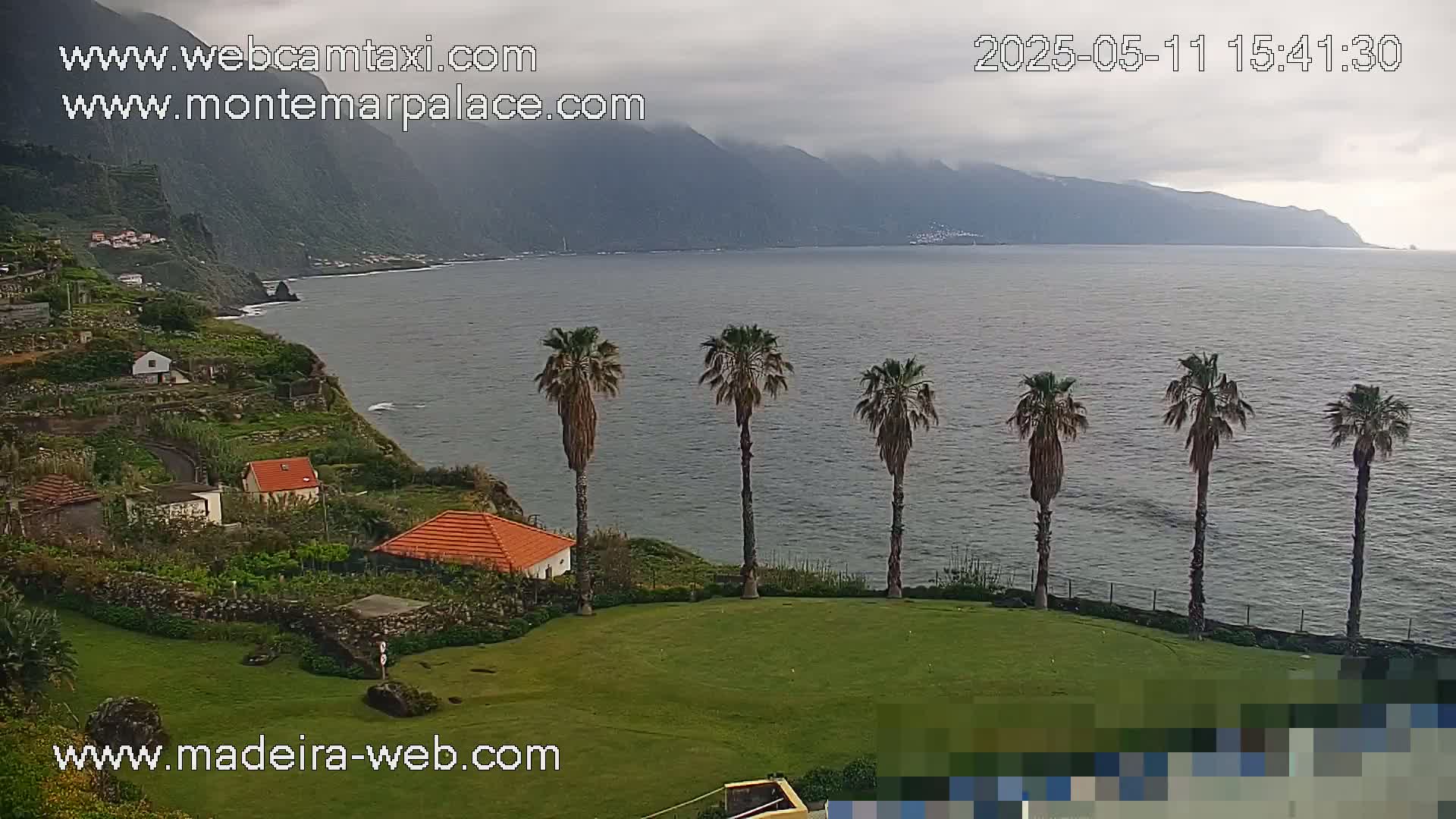 A coastal scene with overcast skies shows a calm ocean, a verdant lawn with several palm trees, and houses on a terraced hillside overlooking the water.