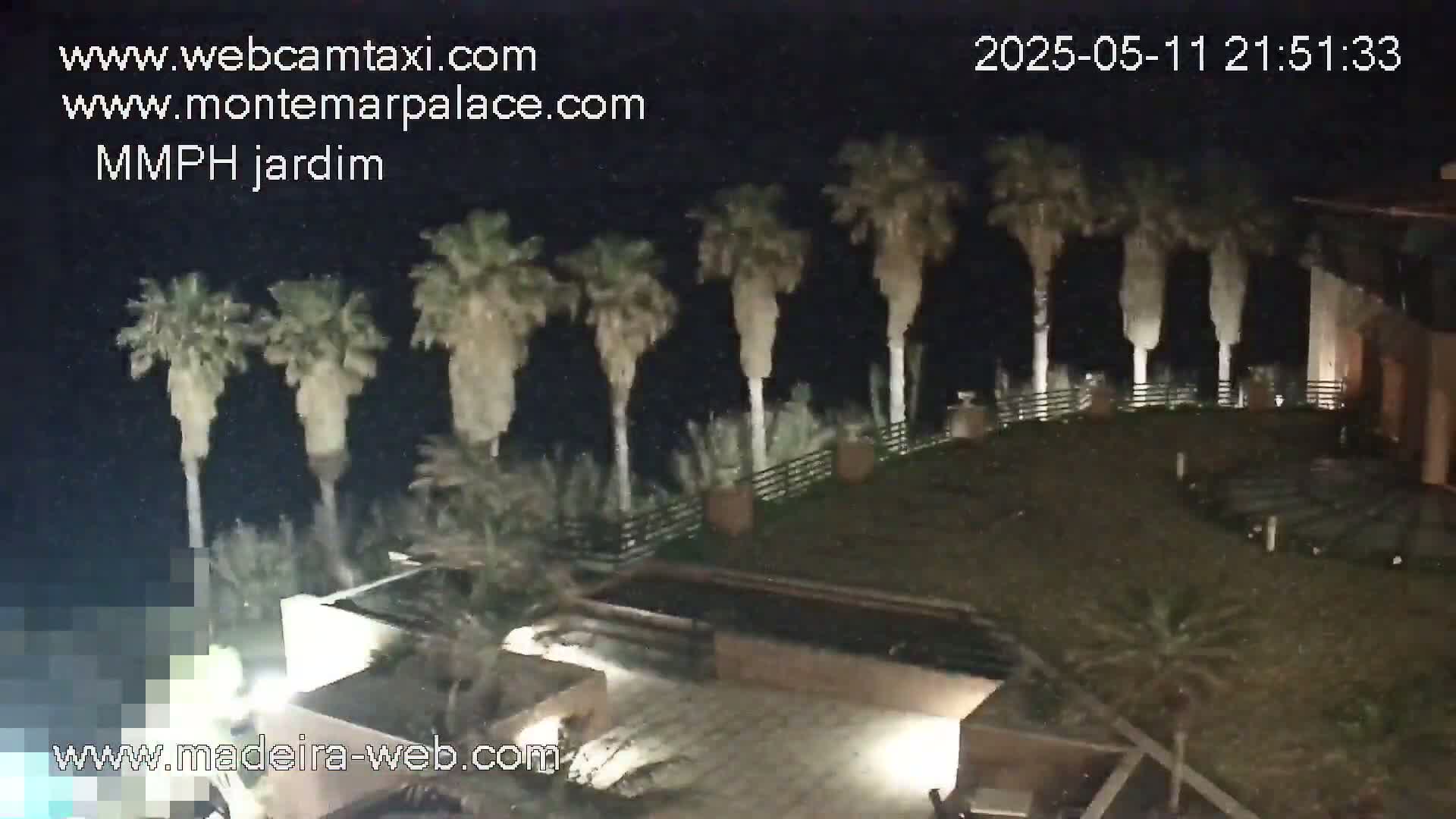A nighttime view of a landscaped area with palm trees, a retaining wall, and a low rectangular water feature, illuminated by artificial light.
