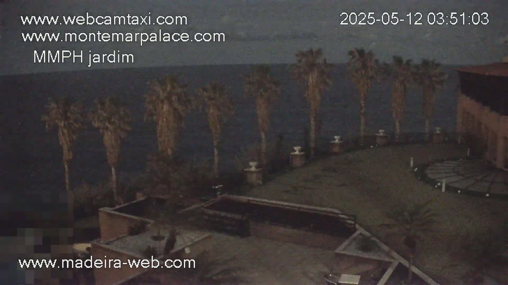 A nighttime view of a resort courtyard with palm trees overlooking a dark ocean under a cloudy sky.