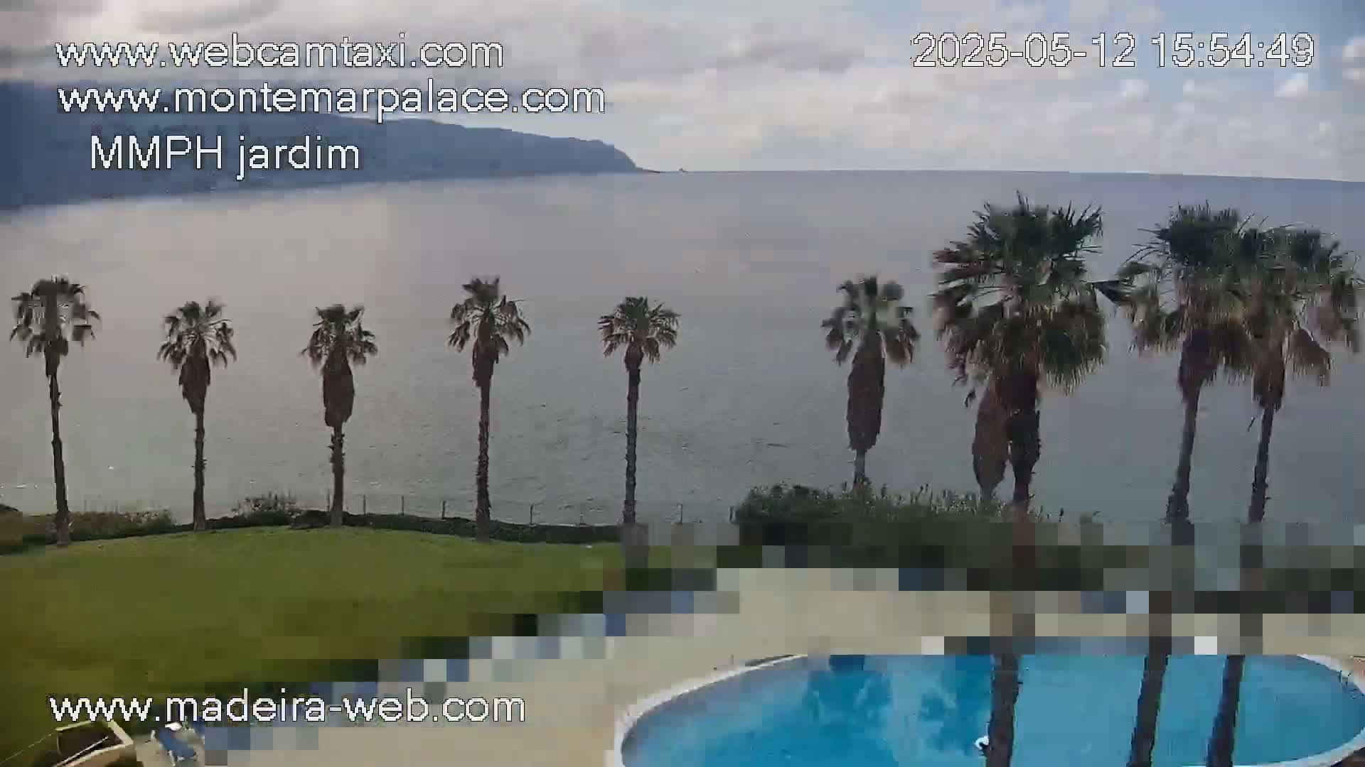 A swimming pool and several palm trees are situated on a grassy area overlooking a calm ocean under a cloudy sky.