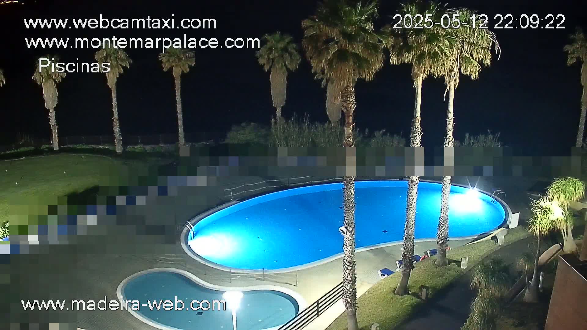 An illuminated kidney-shaped swimming pool and smaller adjacent pool are surrounded by palm trees and lawn at night.
