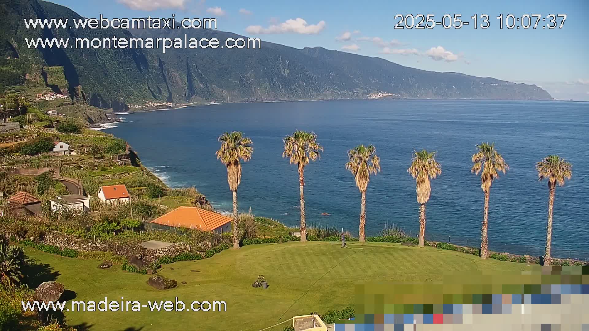 A sunny coastal scene shows a grassy area with palm trees overlooking a calm ocean and a mountainous coastline.