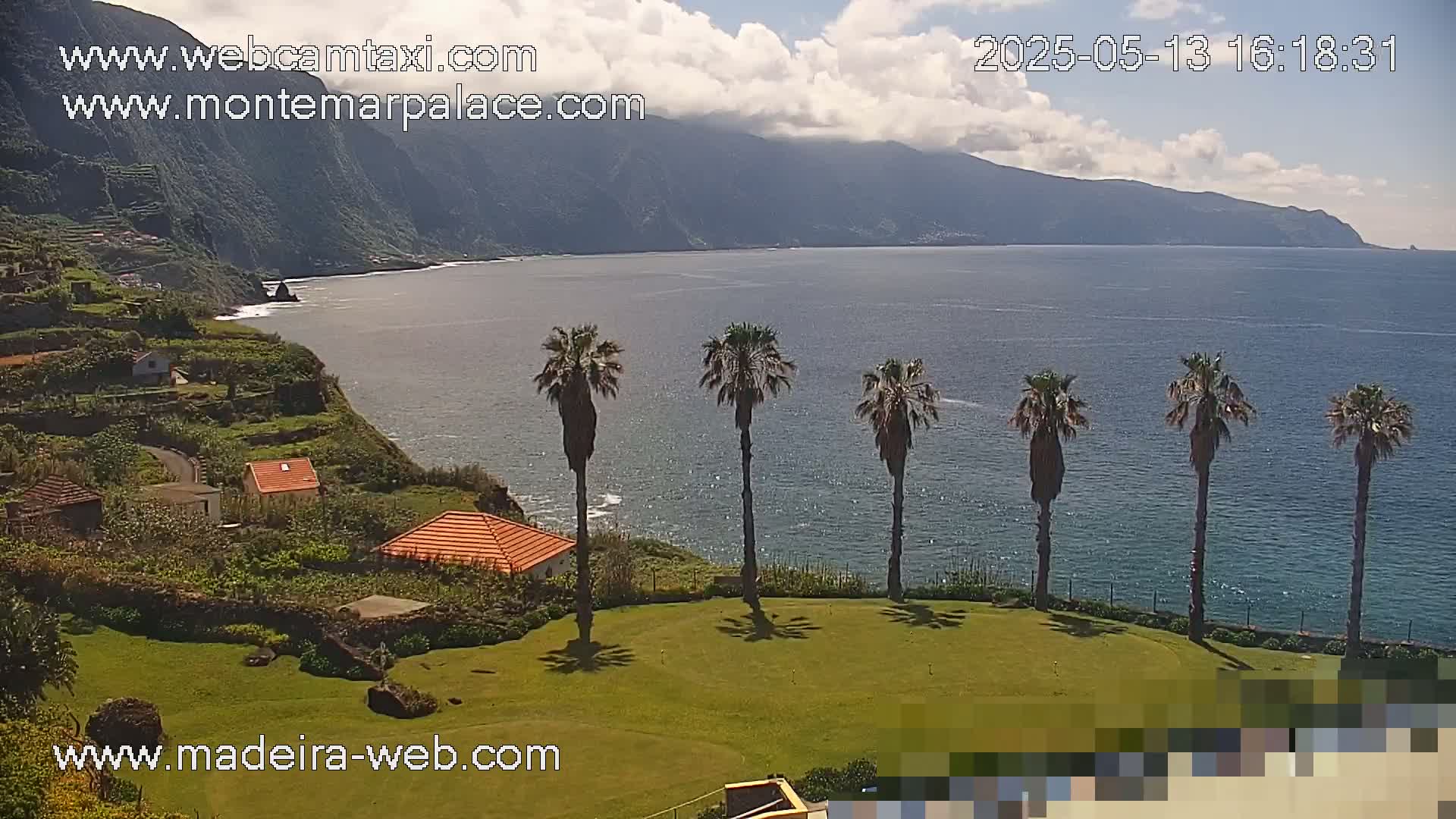 A coastal scene on a partly cloudy day shows a grassy area with palm trees overlooking a calm ocean and a mountainous coastline with small buildings.