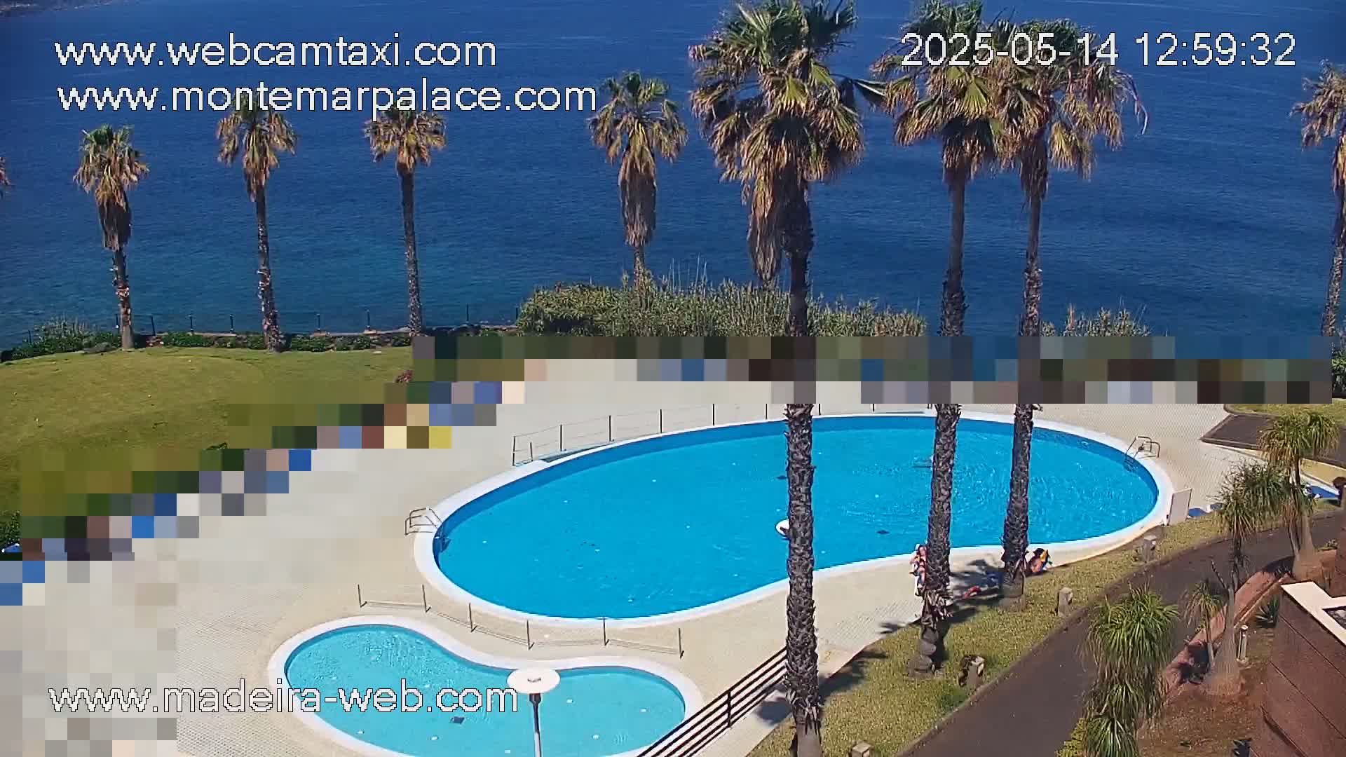 A kidney-shaped swimming pool and a smaller adjacent pool are situated on a grassy area overlooking a calm blue ocean, surrounded by palm trees on a sunny day.