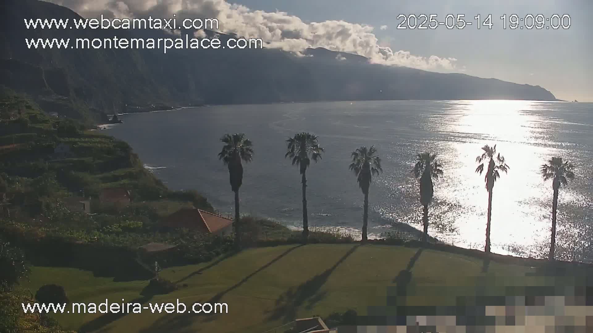 A partly cloudy day reveals a tranquil ocean scene with several palm trees silhouetted against a grassy lawn overlooking a calm sea and distant mountains.