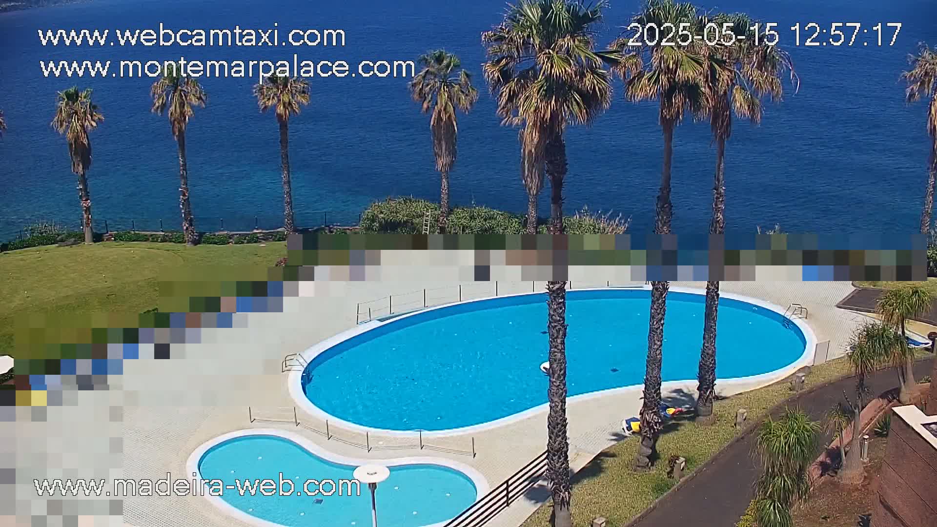 An outdoor kidney-shaped swimming pool and a smaller adjacent pool are surrounded by palm trees and green landscaping overlooking a calm blue ocean on a sunny day.