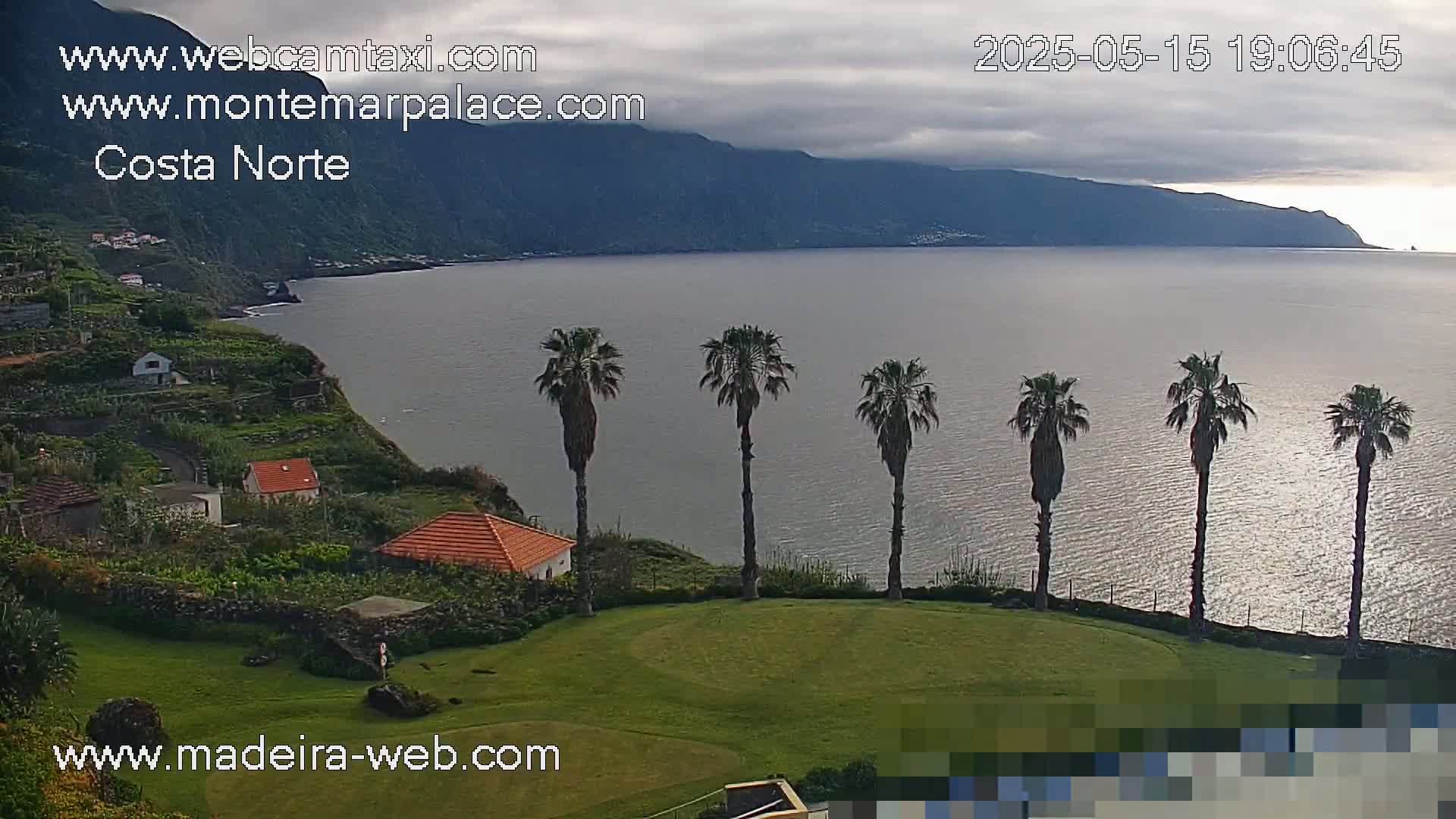 A coastal scene under cloudy skies shows a grassy area with several palm trees overlooking a calm ocean and distant mountains.