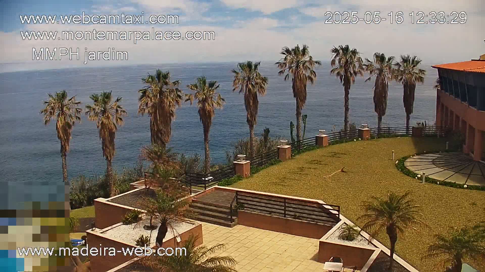 A seaside patio with palm trees overlooks a calm ocean under a partly cloudy sky.