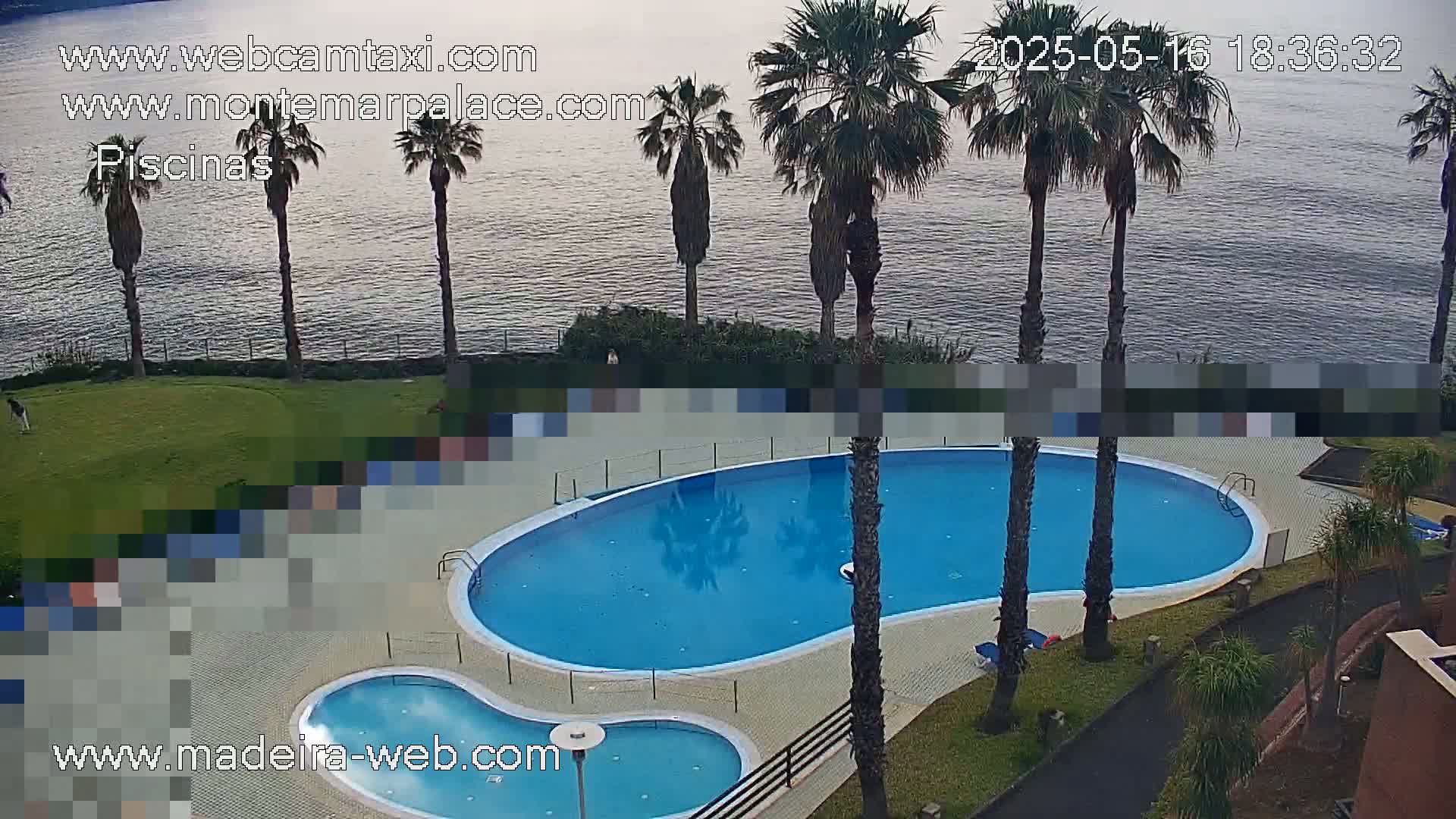 An overhead view shows a kidney-shaped swimming pool and a smaller adjacent pool next to a grassy area overlooking a calm body of water under a cloudy sky.
