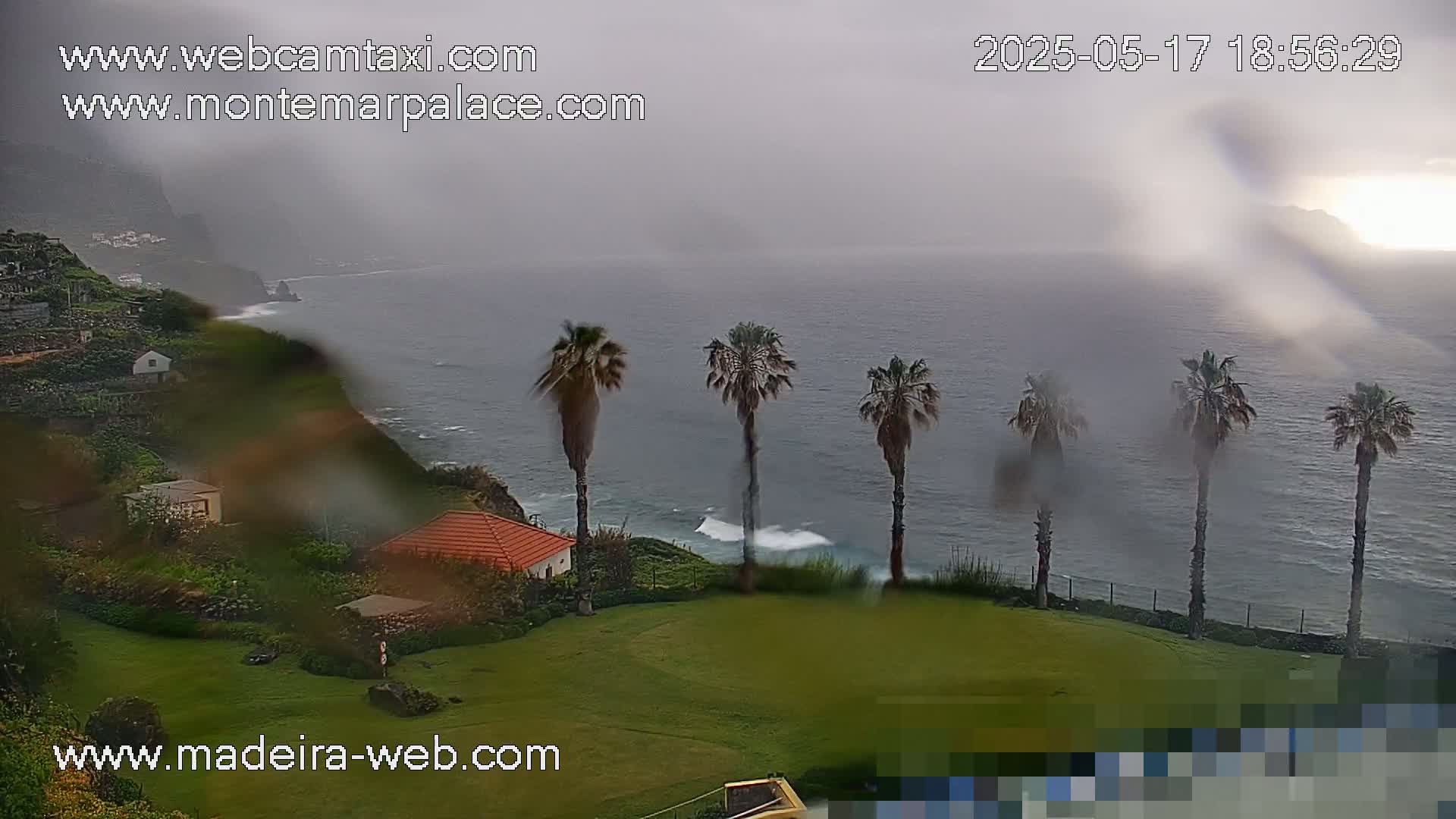 A rain-swept coastal view shows a grassy area with several palm trees overlooking a wavy ocean, with houses and cliffs visible in the distance.