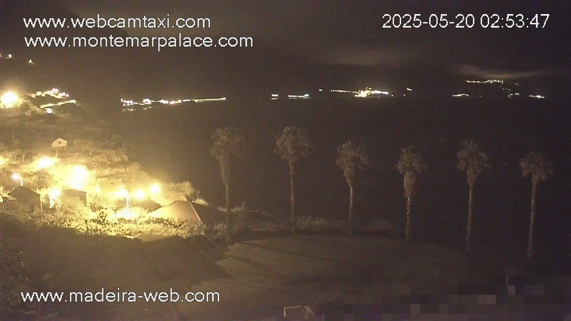 A nighttime view of a coastal area with palm trees in the foreground and distant lights illuminating a town across a dark body of water under a cloudy sky.