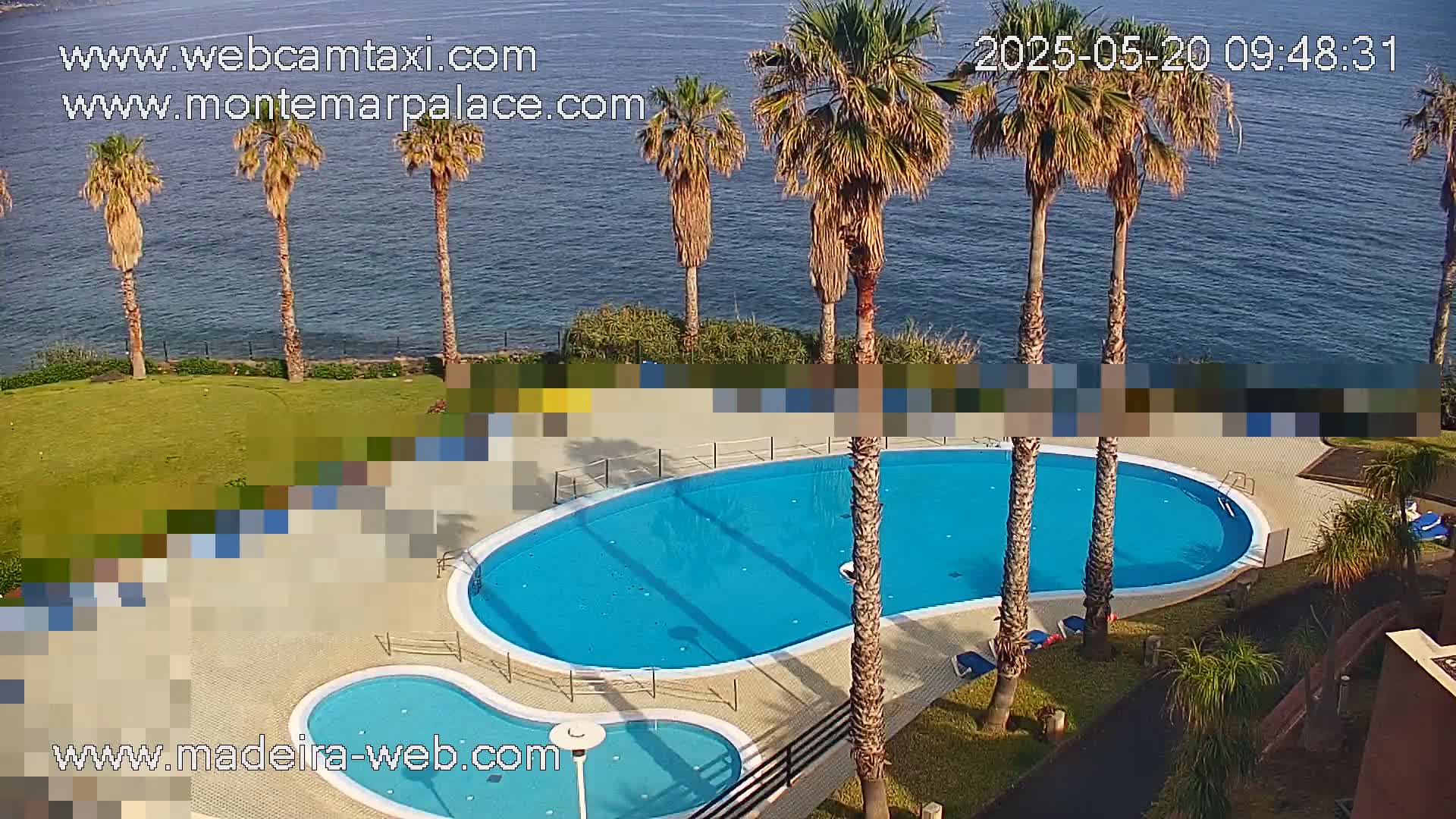 An outdoor kidney-shaped swimming pool with a smaller adjacent pool is situated on a grassy area next to a calm body of water, surrounded by palm trees under a sunny sky.