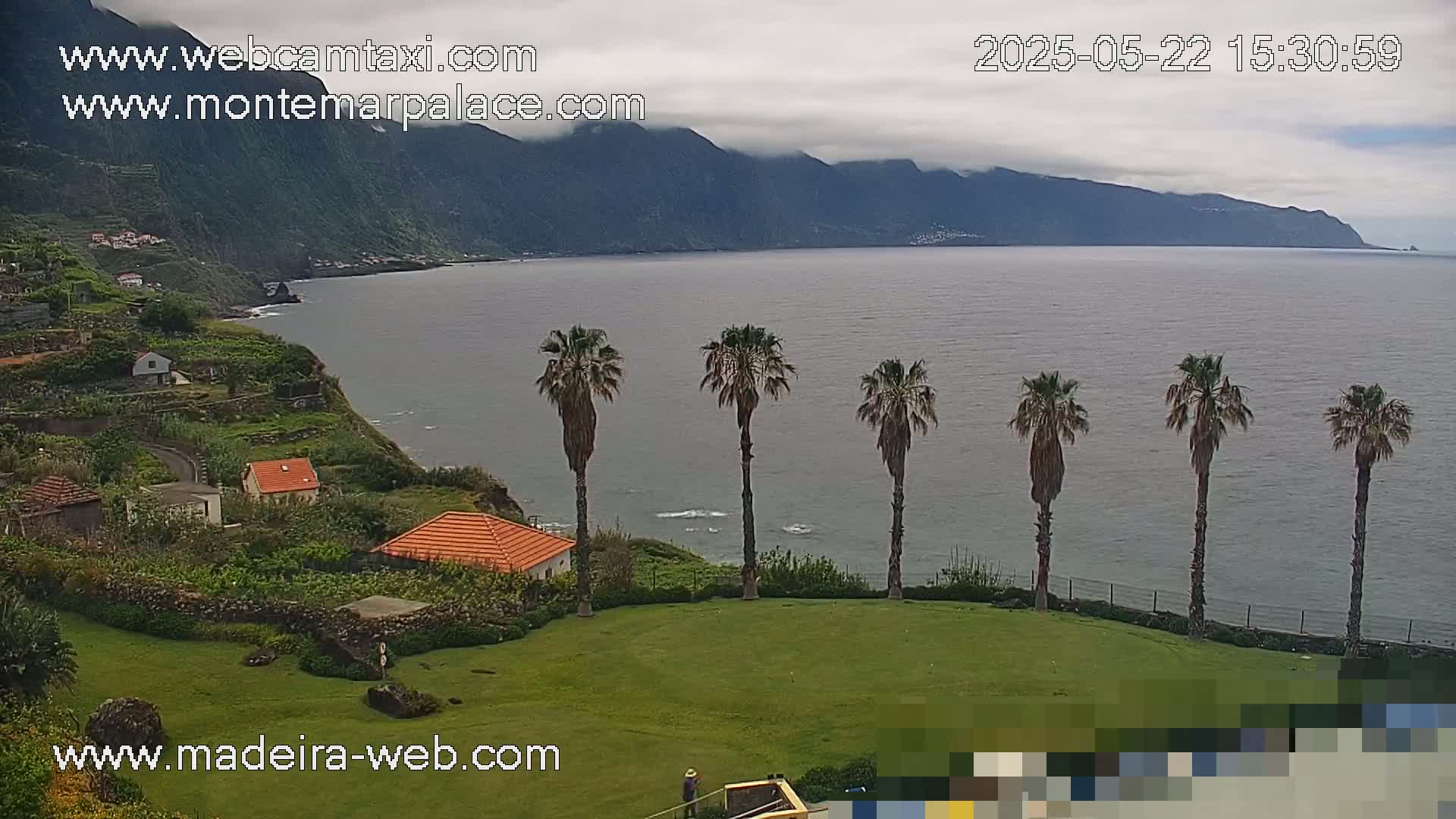 A coastal scene with overcast skies shows a calm ocean next to a green lawn with several palm trees, overlooking a hillside with small houses and terraced gardens.