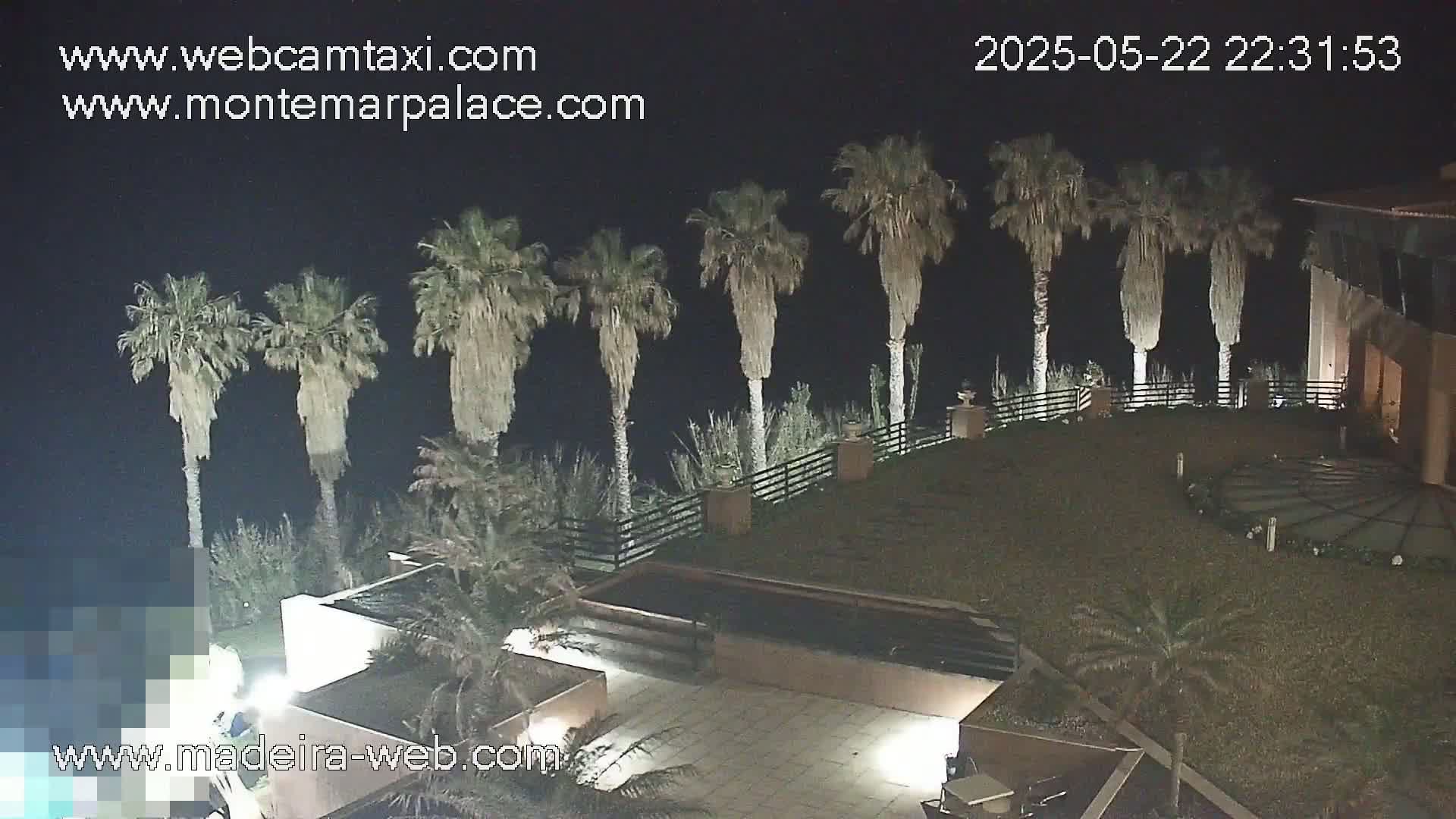 A nighttime view of a resort area with palm trees lining a low wall overlooking a grassy courtyard and building.
