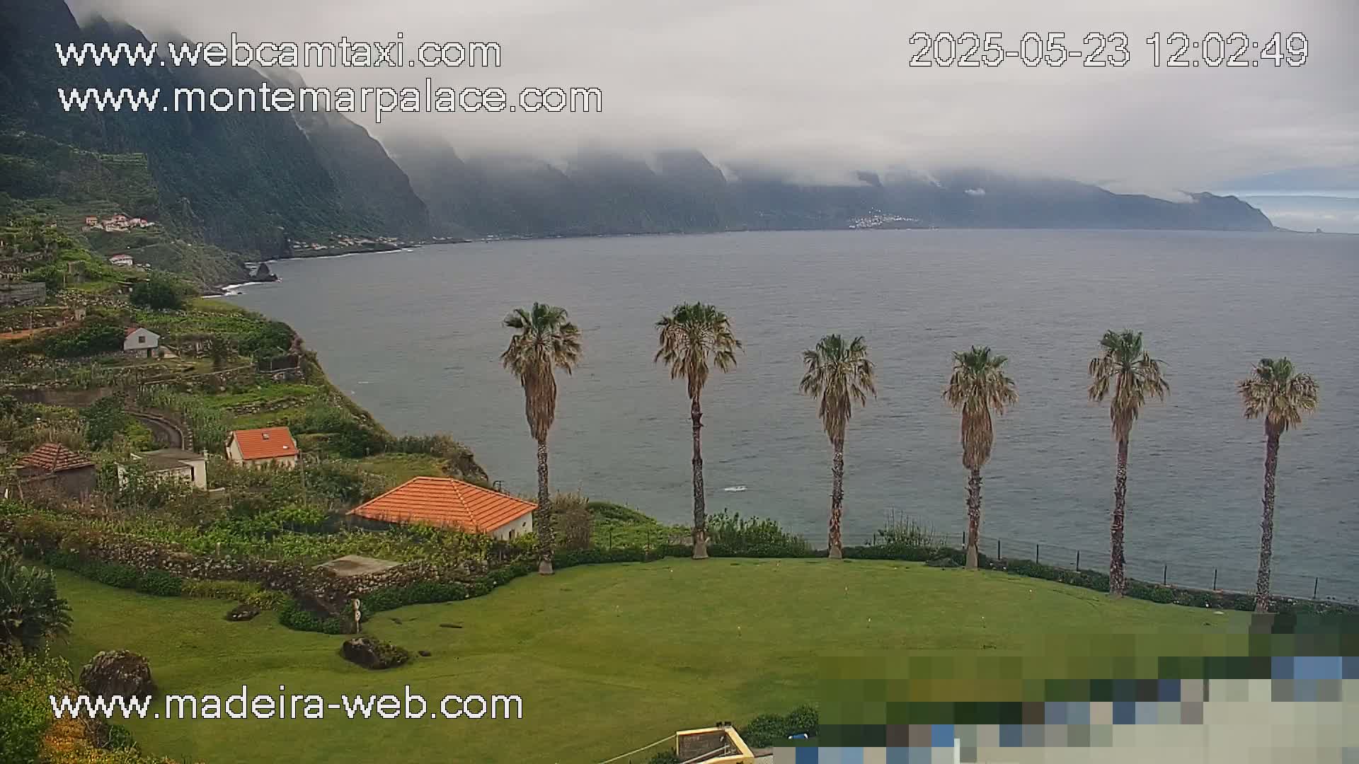 A coastal scene shows several palm trees on a grassy area overlooking a calm ocean and mountainous terrain partially obscured by fog.