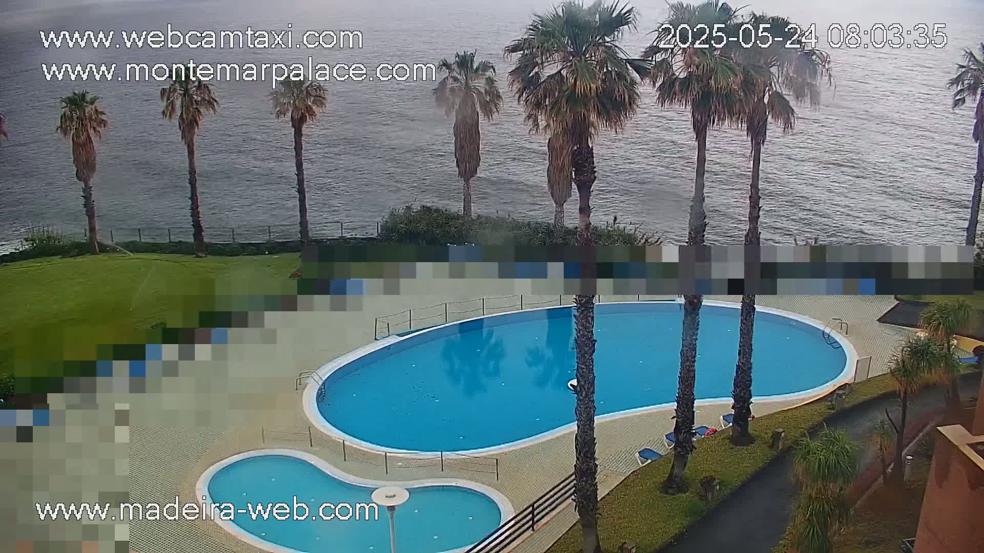 An outdoor kidney-shaped swimming pool and a smaller adjacent pool are situated next to a grassy area overlooking a calm body of water, with several palm trees in the foreground.