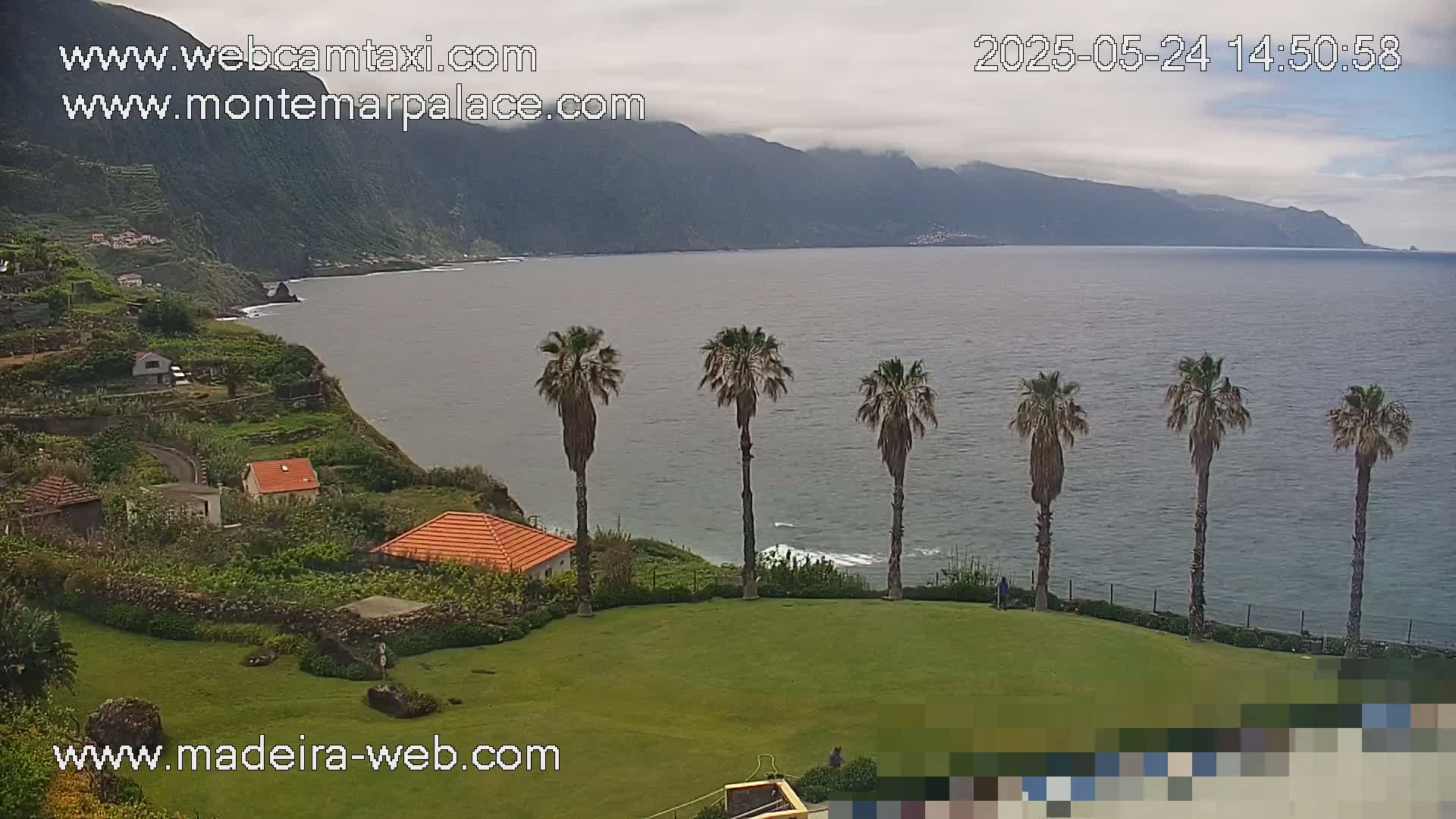 A grassy lawn overlooks a calm ocean with a mountainous coastline under cloudy skies, and several palm trees stand between the lawn and the ocean's edge.