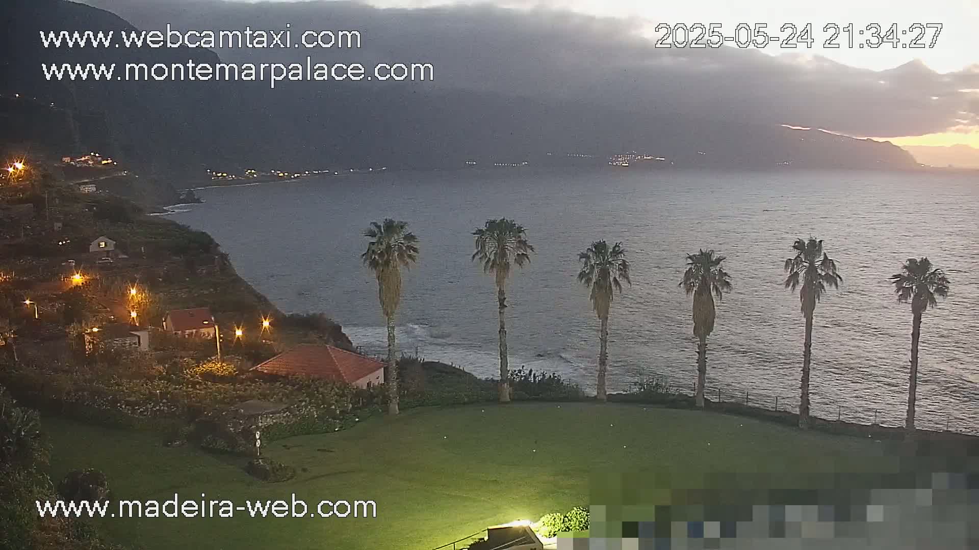 A twilight coastal scene shows a row of palm trees overlooking a calm ocean, with hills and houses illuminated by lights in the foreground.