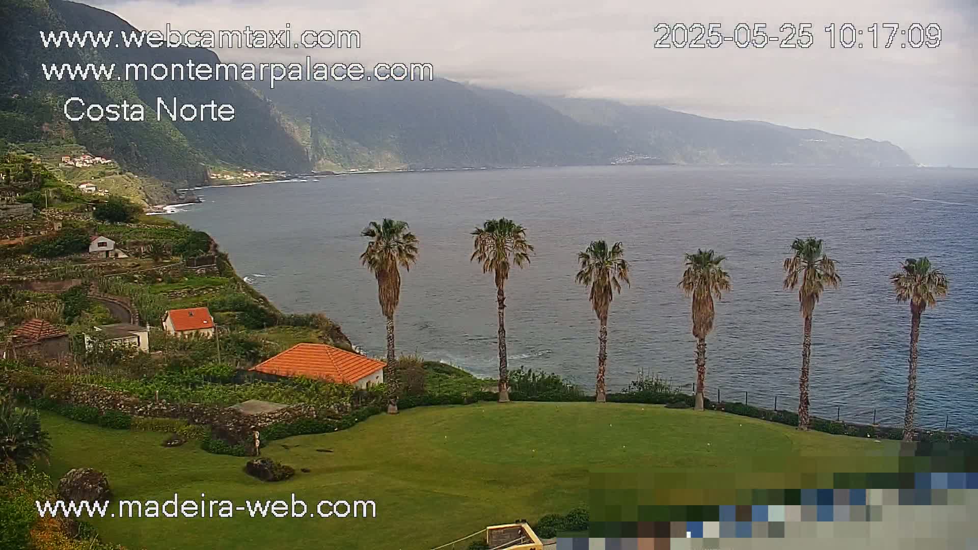 A coastal scene on an overcast day shows several palm trees on a grassy area overlooking a calm ocean and a mountainous coastline with small buildings nestled into the hillside.
