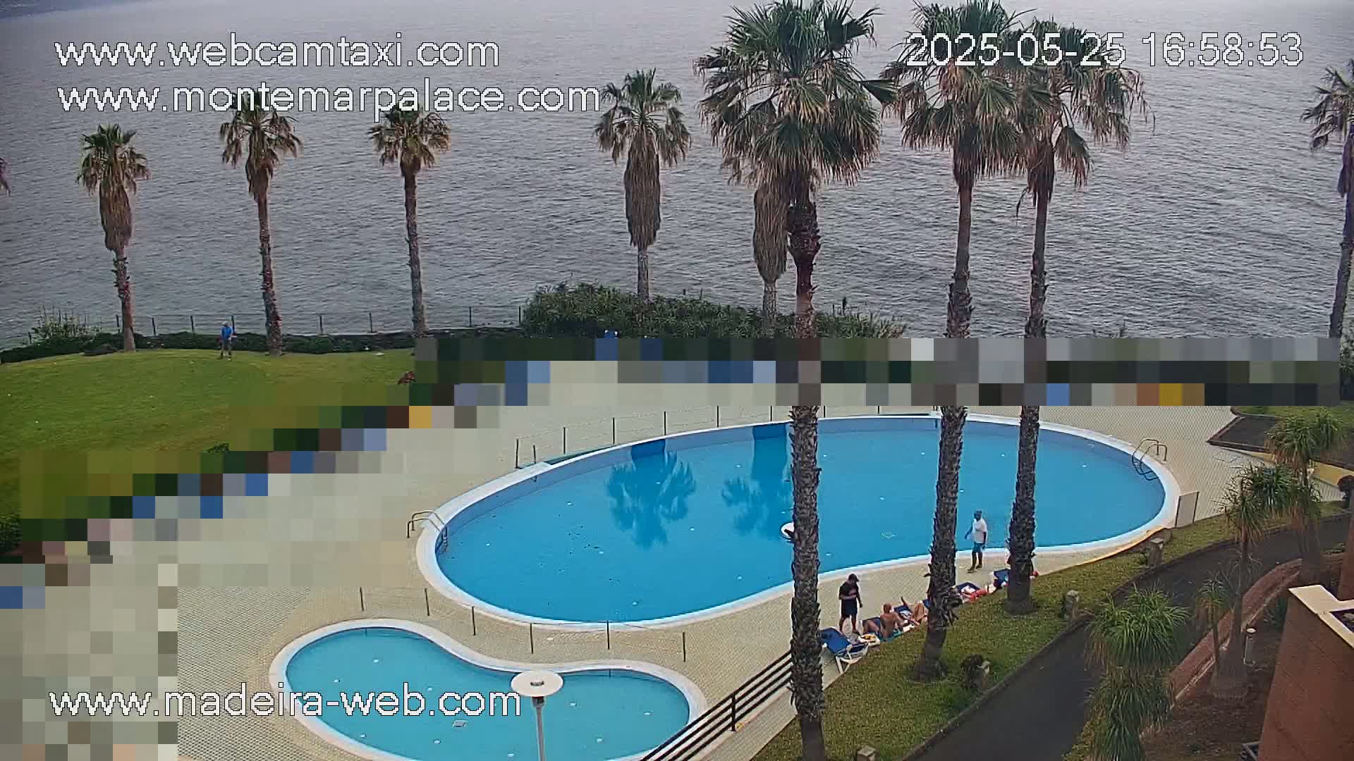 An outdoor swimming pool and a smaller wading pool are situated on a grassy area overlooking a calm body of water, surrounded by palm trees under an overcast sky.
