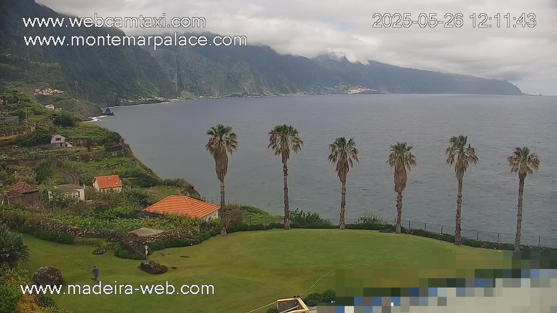 A coastal scene with overcast skies shows a calm ocean, a verdant cliffside with houses and palm trees, and a manicured lawn.