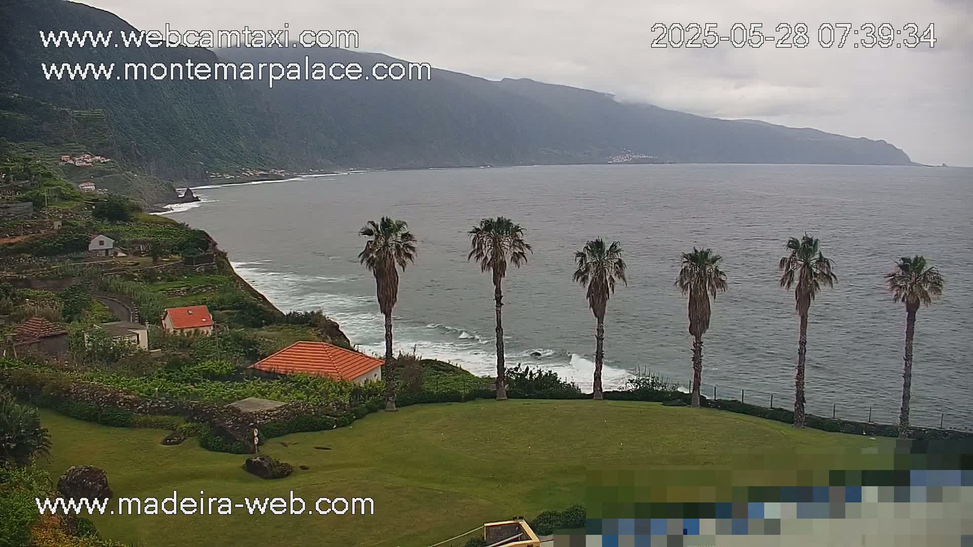 A coastal view on an overcast day shows a grassy lawn with palm trees overlooking a rocky coastline and ocean waves.